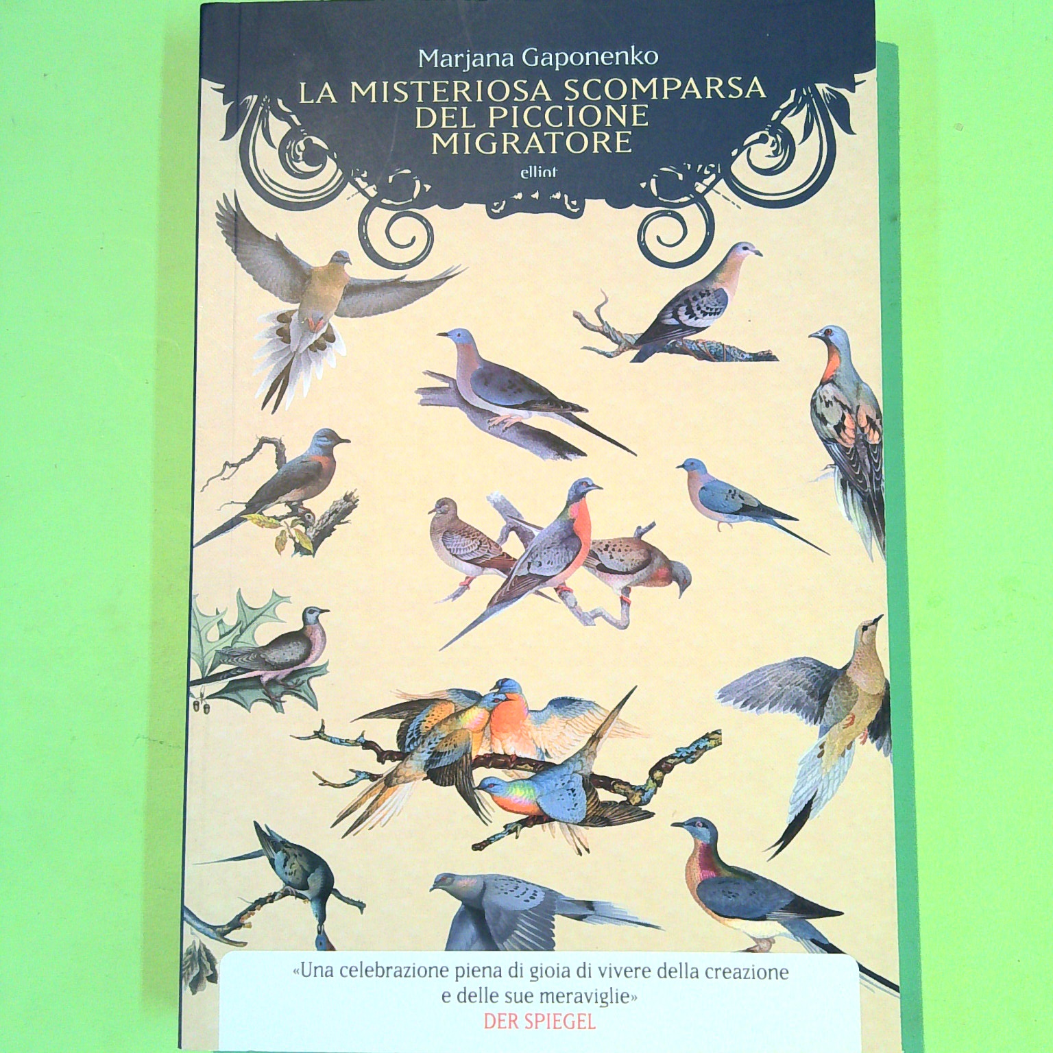 LA MISTERIOSA SCOMPARSA DEL PICCIONE MIGRATORE