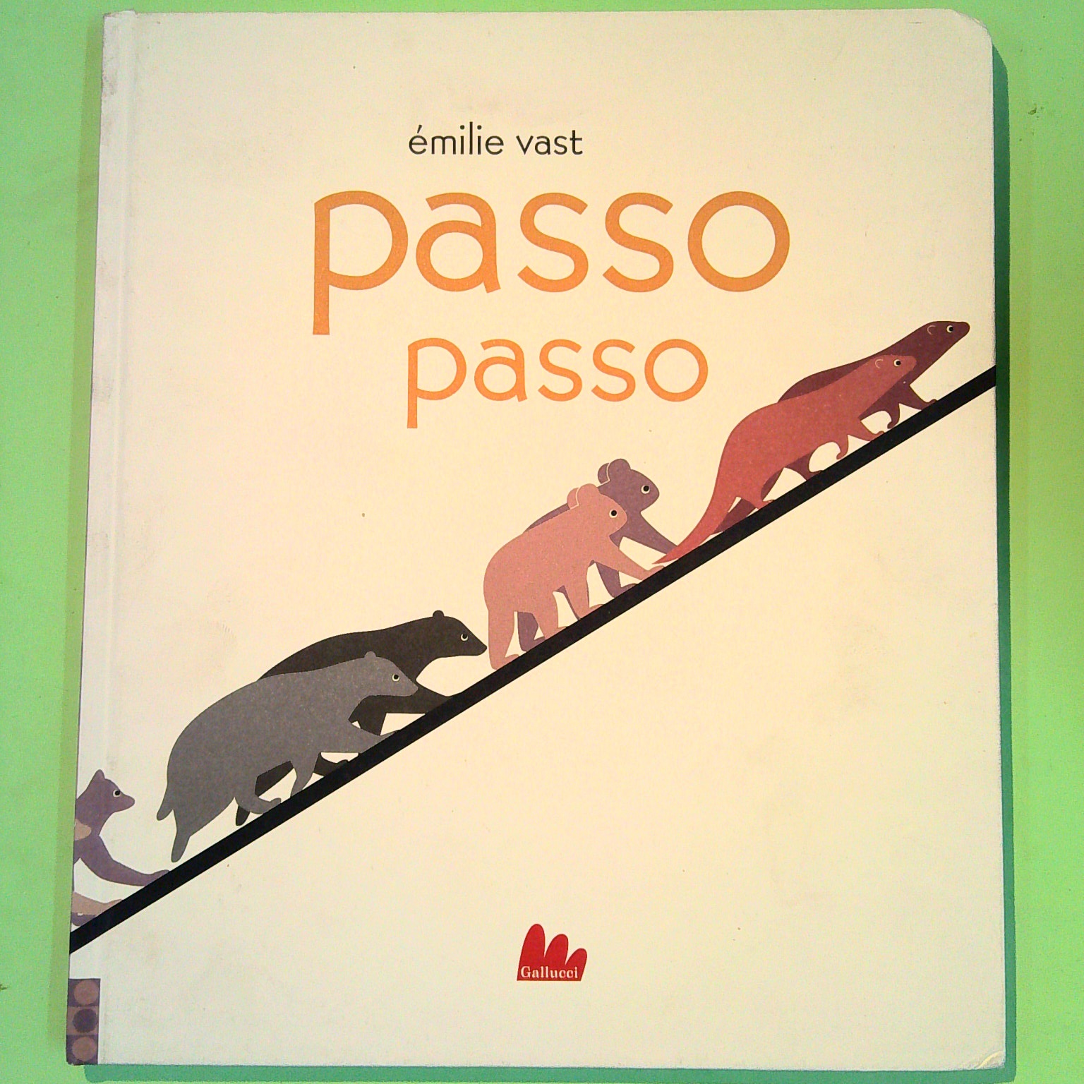 PASSO PASSO