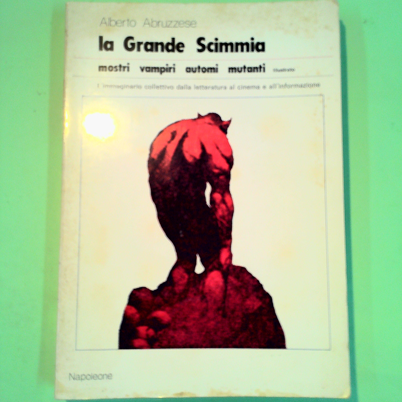 LA GRANDE SCIMMIA