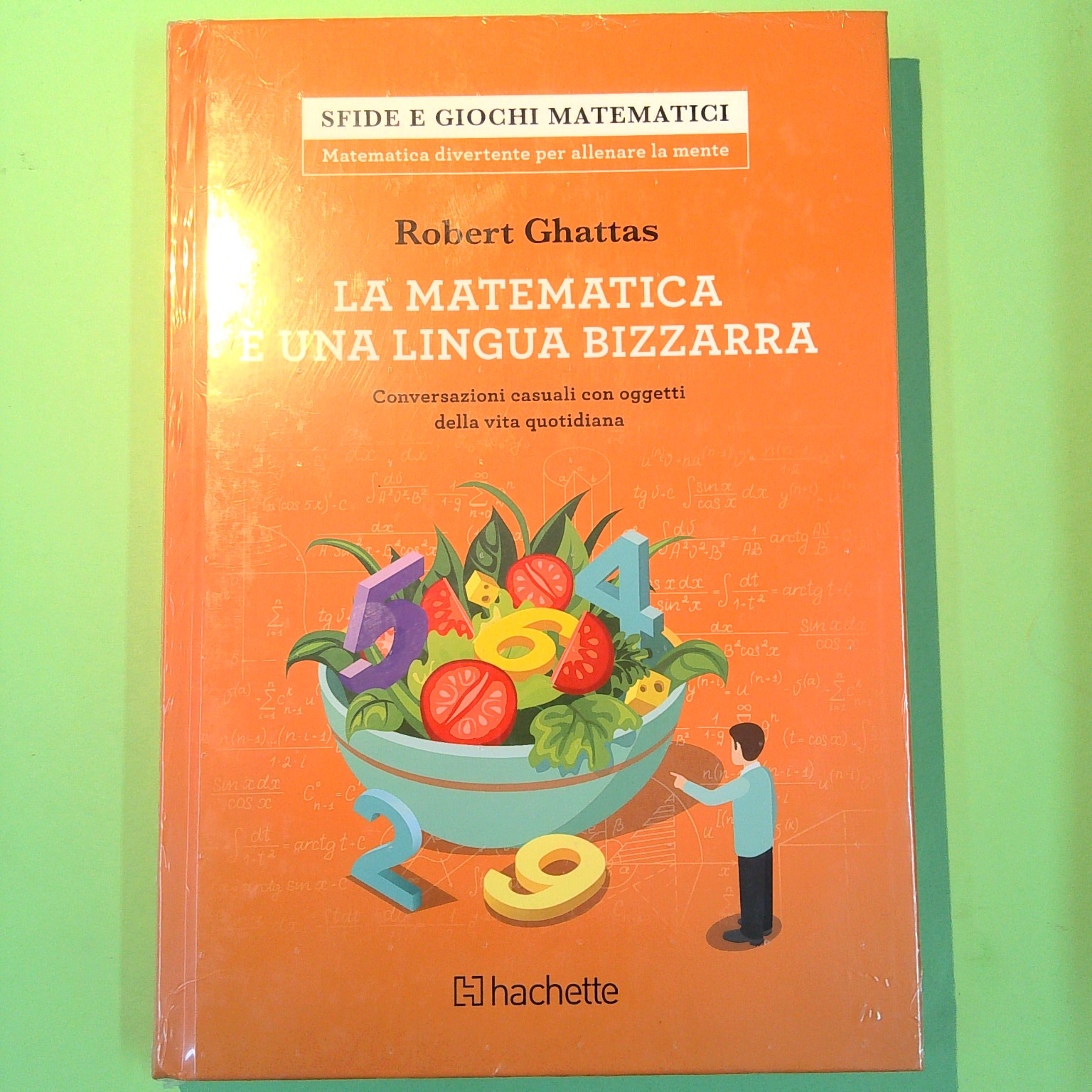 LA MATEMATICA È UNA LINGUA BIZZARRA