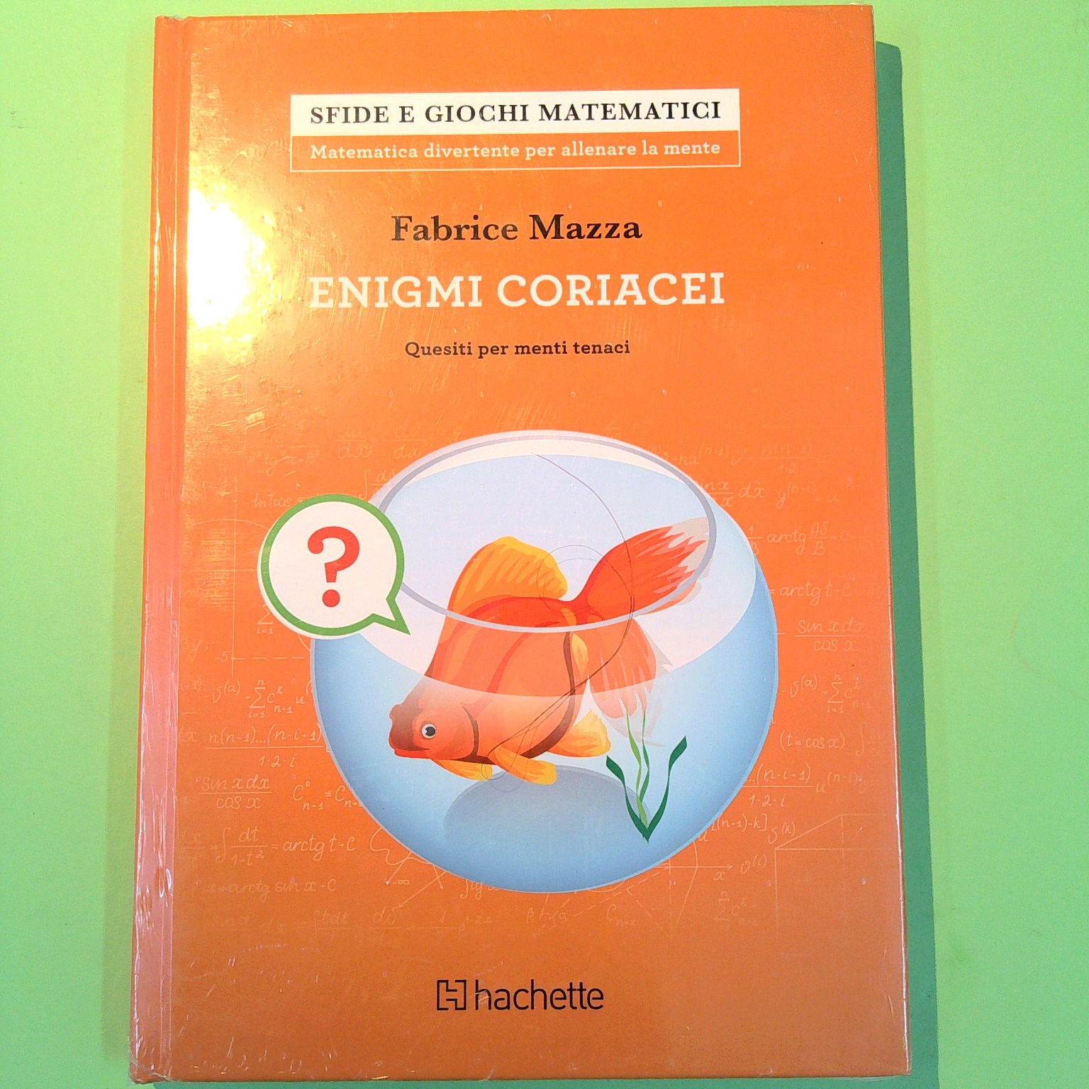 ENIGMI CORIACEI