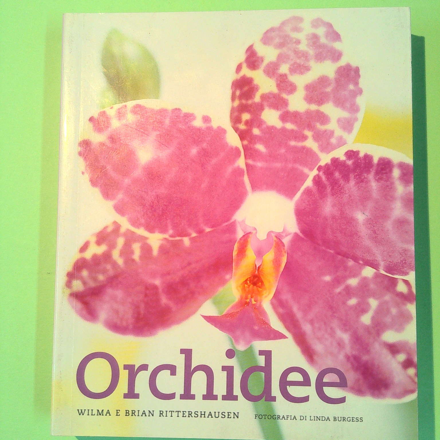 ORCHIDEE