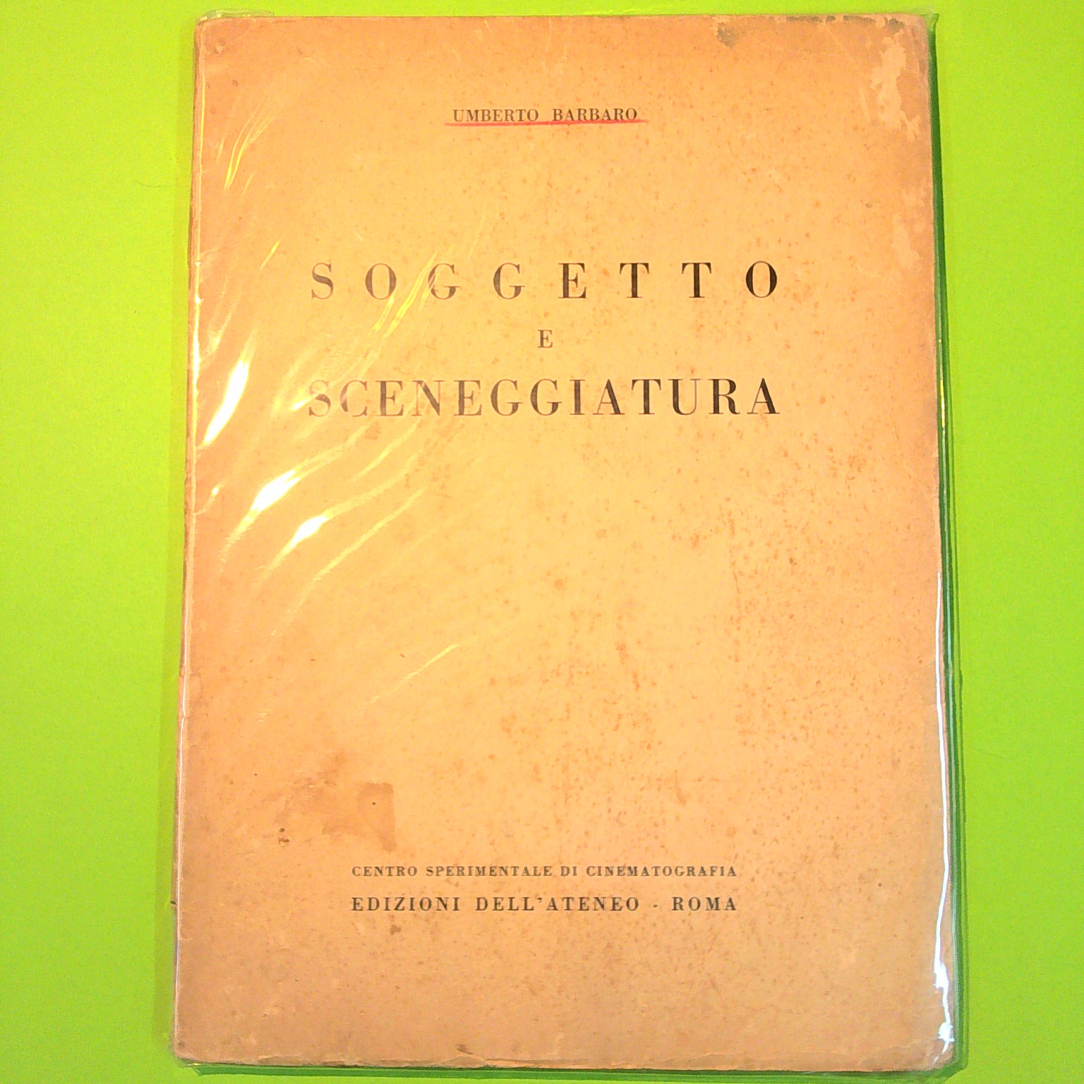 SOGGETTO E SCENEGGIATURA