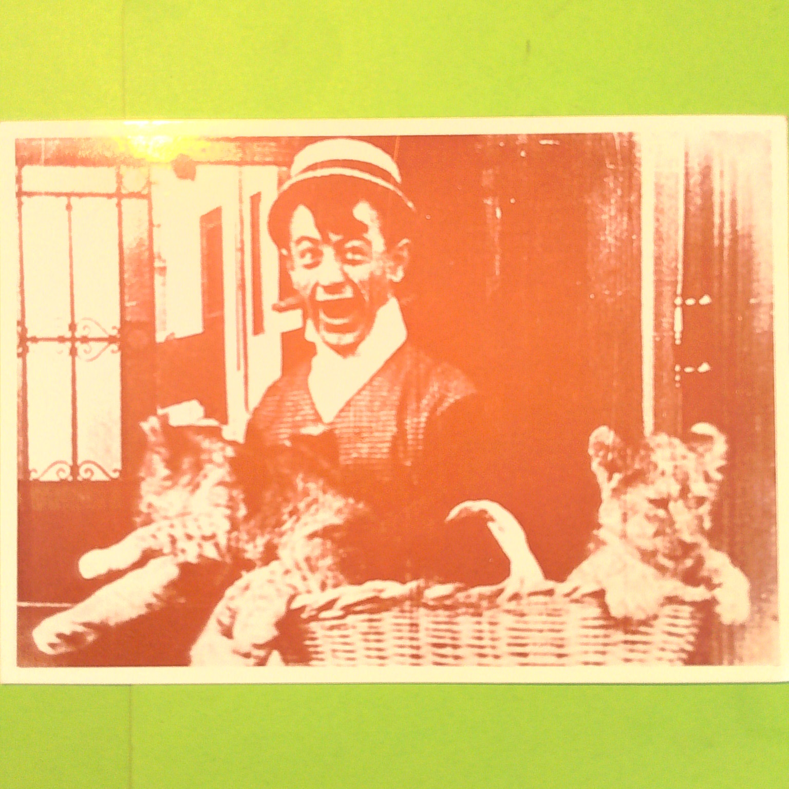 RIPRODUZIONE CARTOLINA DI UNA SCENA DEL FILM POLIDOR E I GATTI 1913