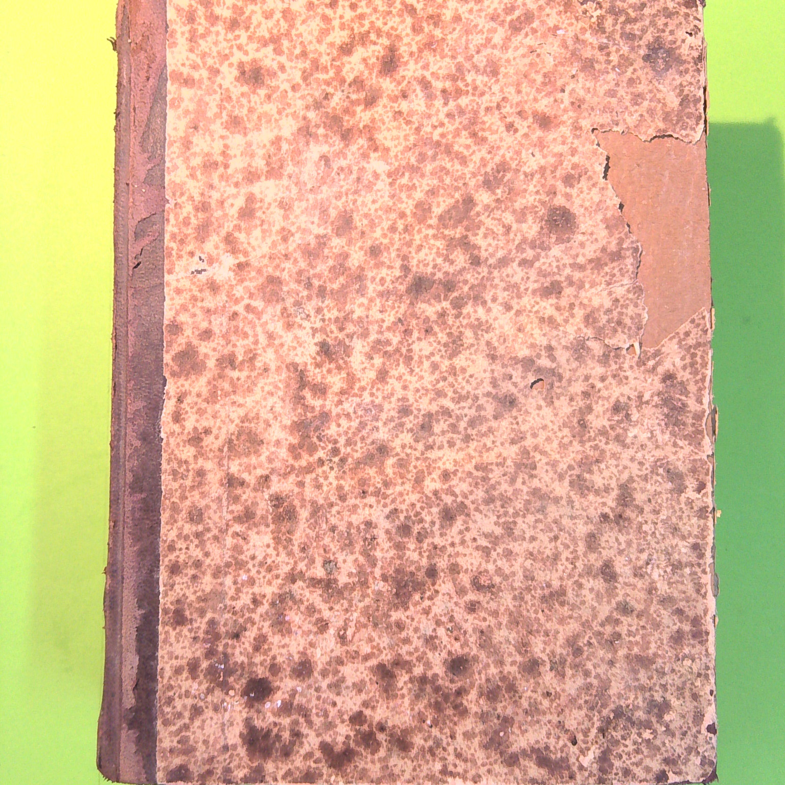 RACCOLTA UFFICIALE DELLE LEGGI E DEI DECRETI DEL REGNO D'ITALIA VOL I 1904