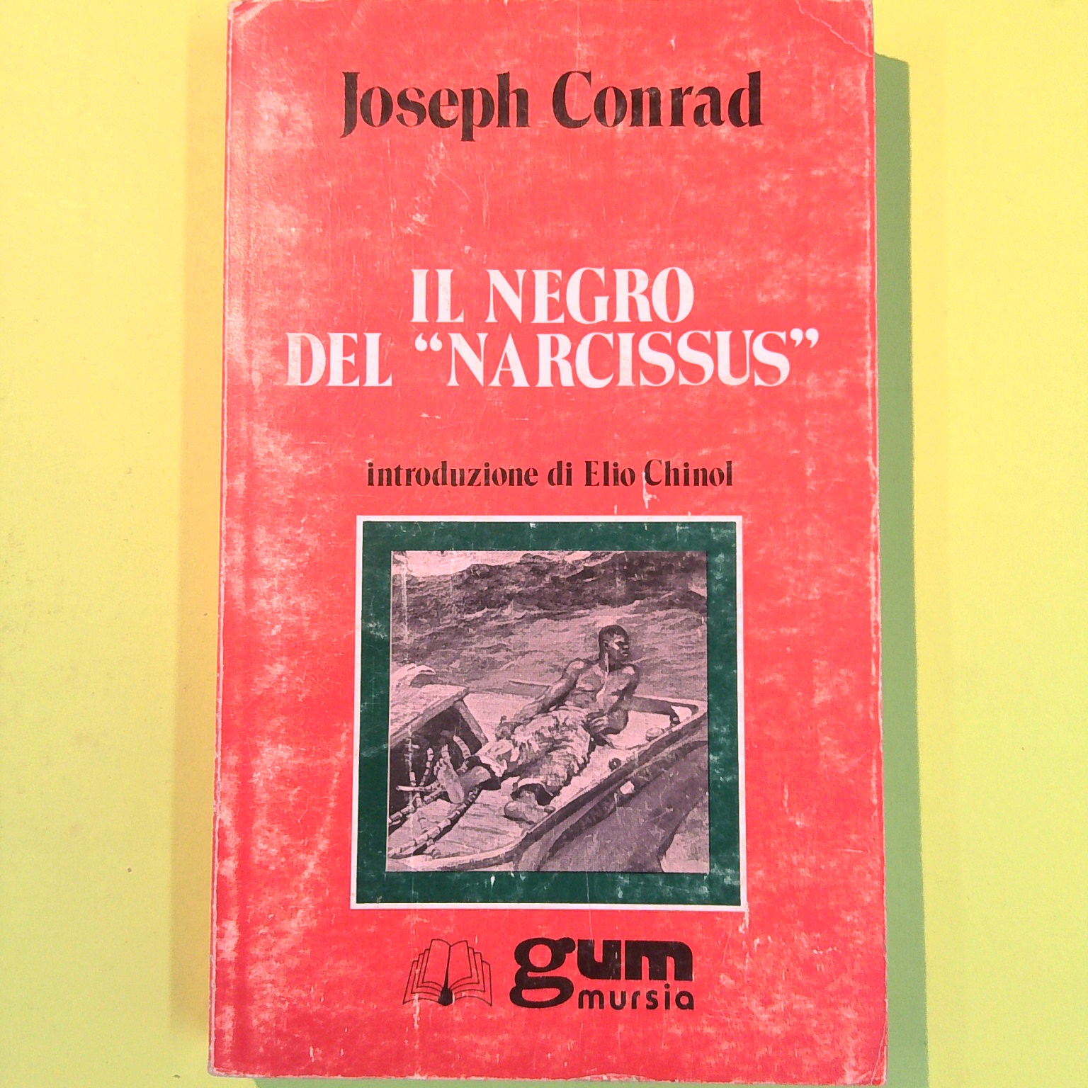 IL NEGRO DEL NARCISSUS