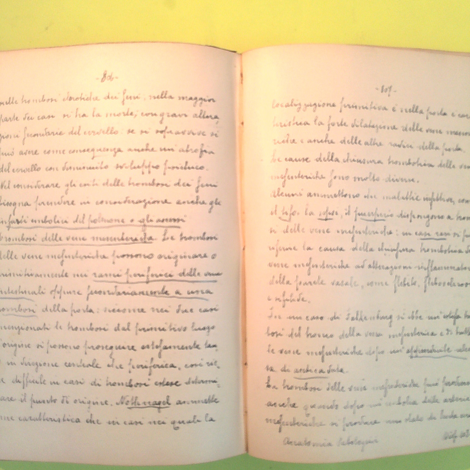 APPUNTI MANOSCRITTI DELLE LEZIONI DI ANATOMIA PATOLOGICA PROF DIONISI 1910-11 - immagine 3