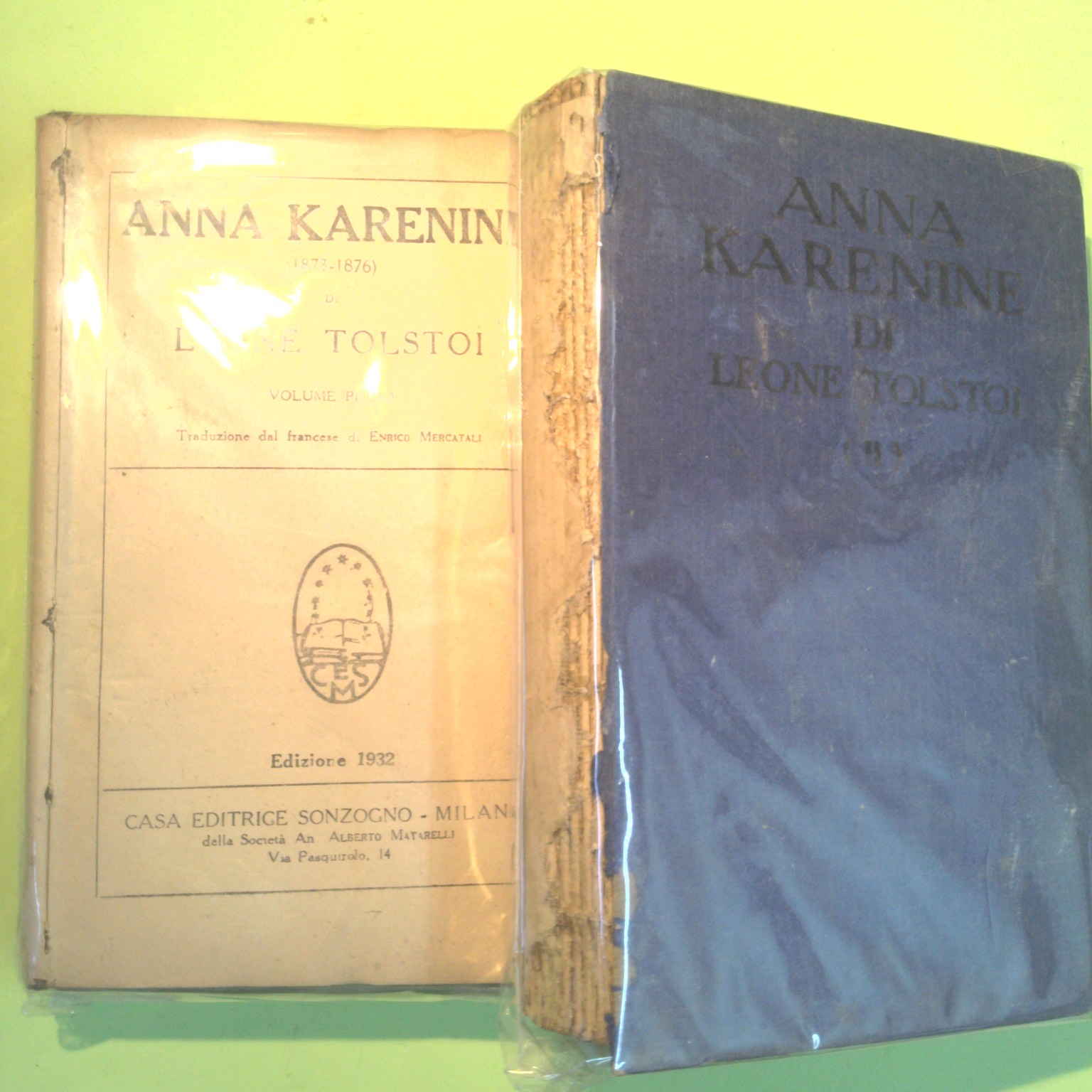 ANNA KARENINE VOL I E II