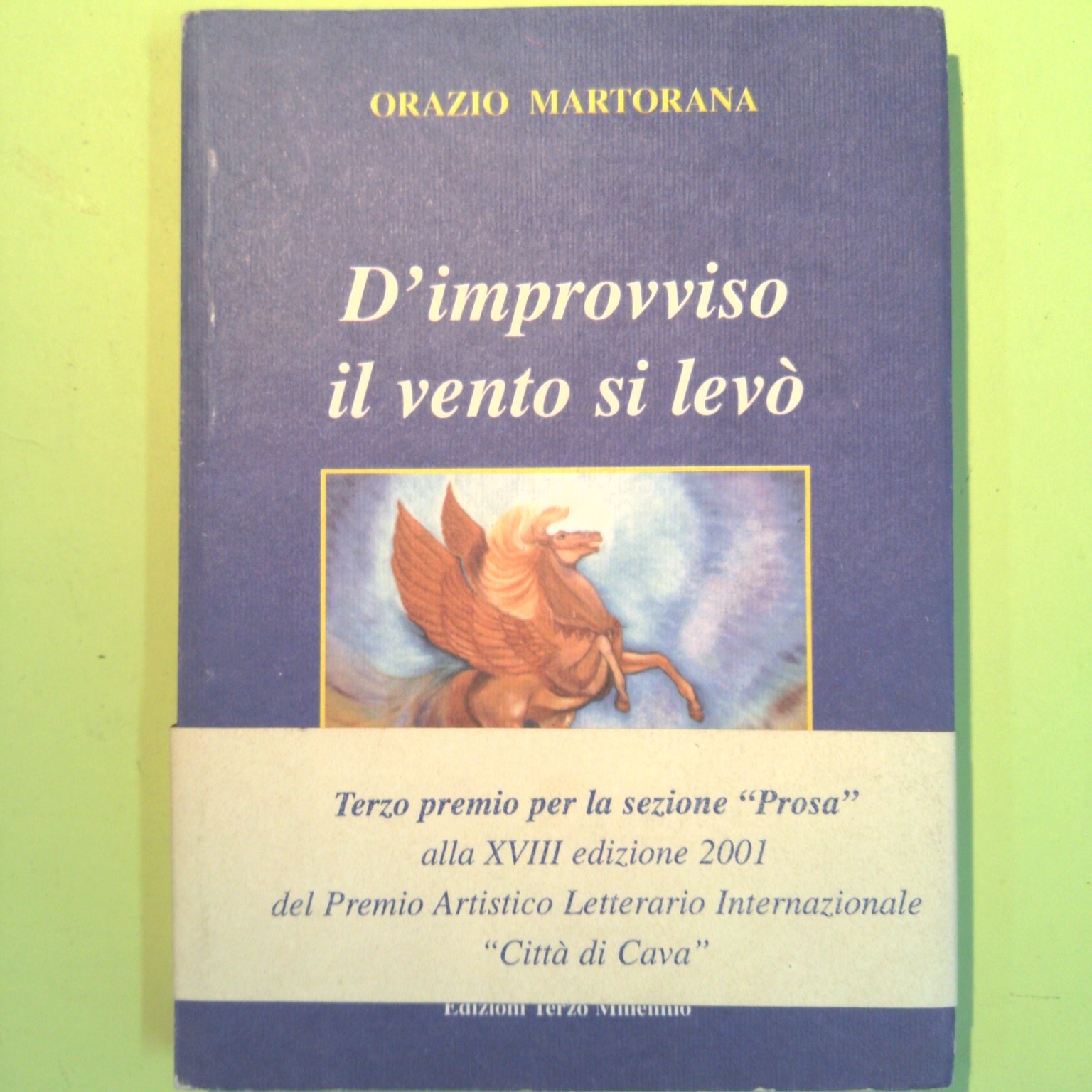 D'IMPROVVISO IL VENTO SI LEVÒ