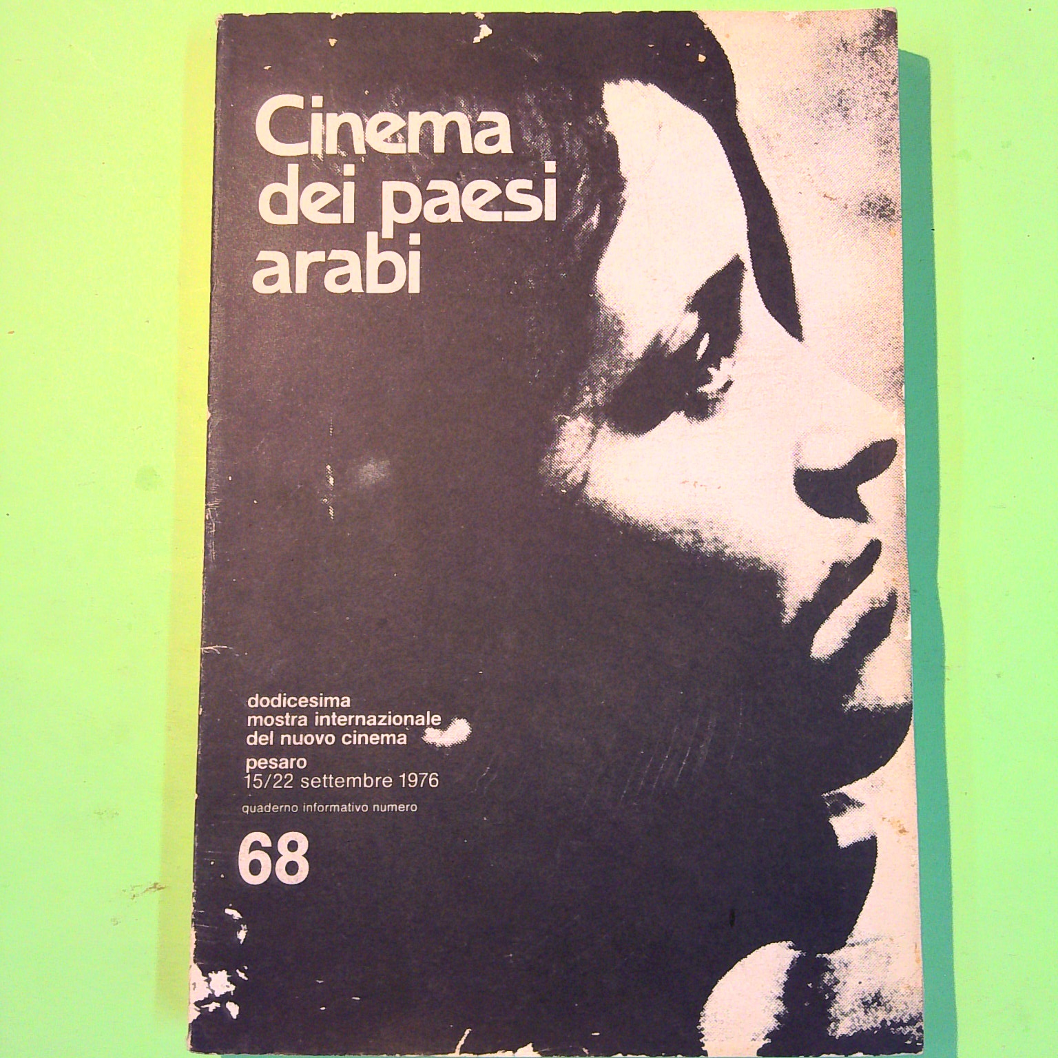 CINEMA DEI PAESI ARABI