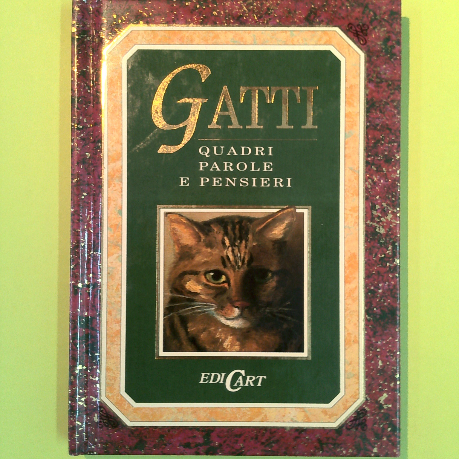 GATTI QUADRI PAROLE E PENSIERI