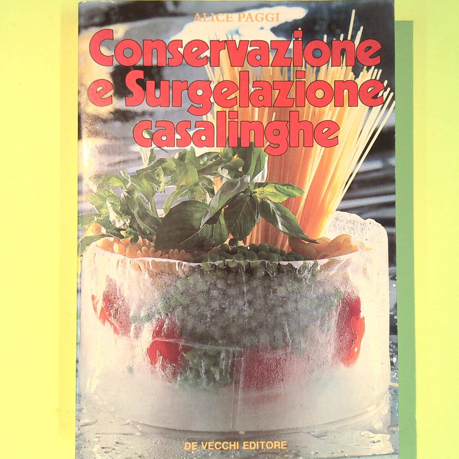 CONSERVAZIONE E SURGELAZIONE CASALINGHE