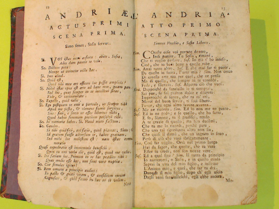 TERENZIO AFRO RACCOLTA - immagine 5