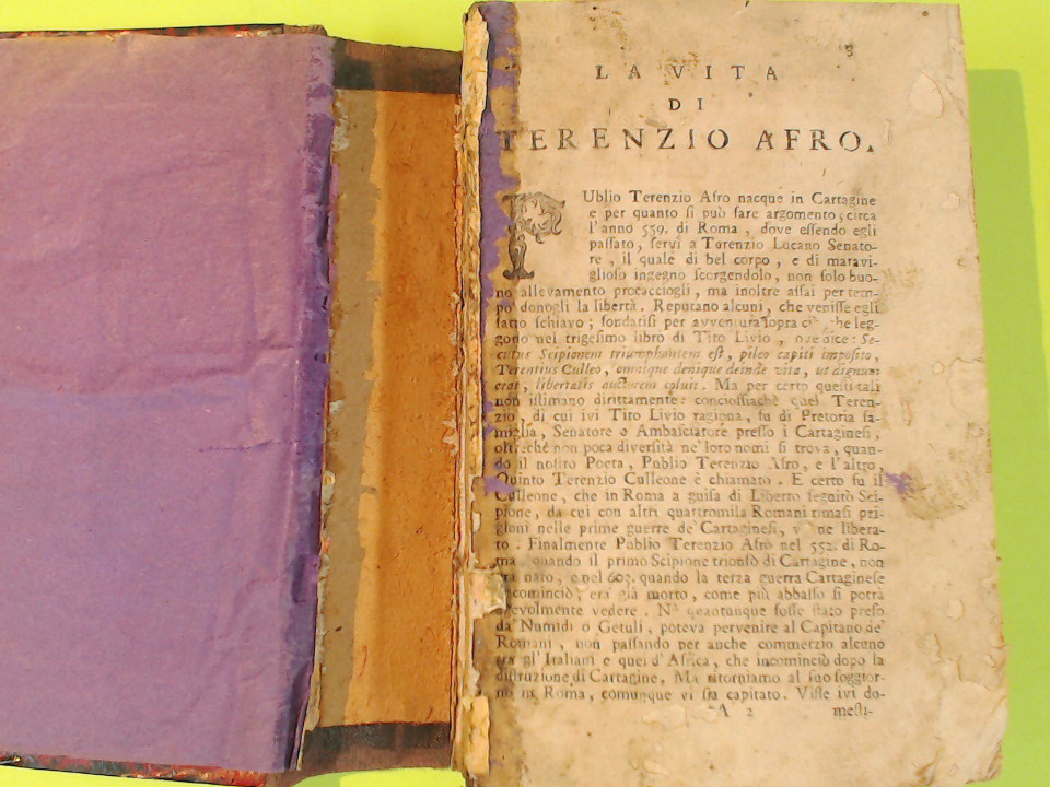 TERENZIO AFRO RACCOLTA - immagine 6