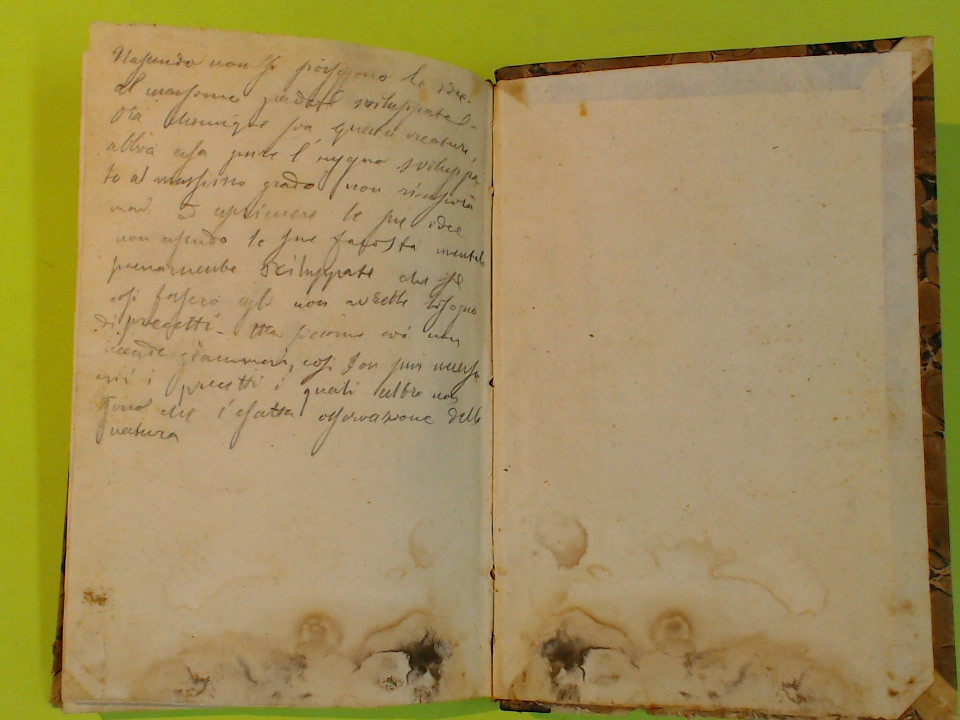 DEL BELLO - immagine 4