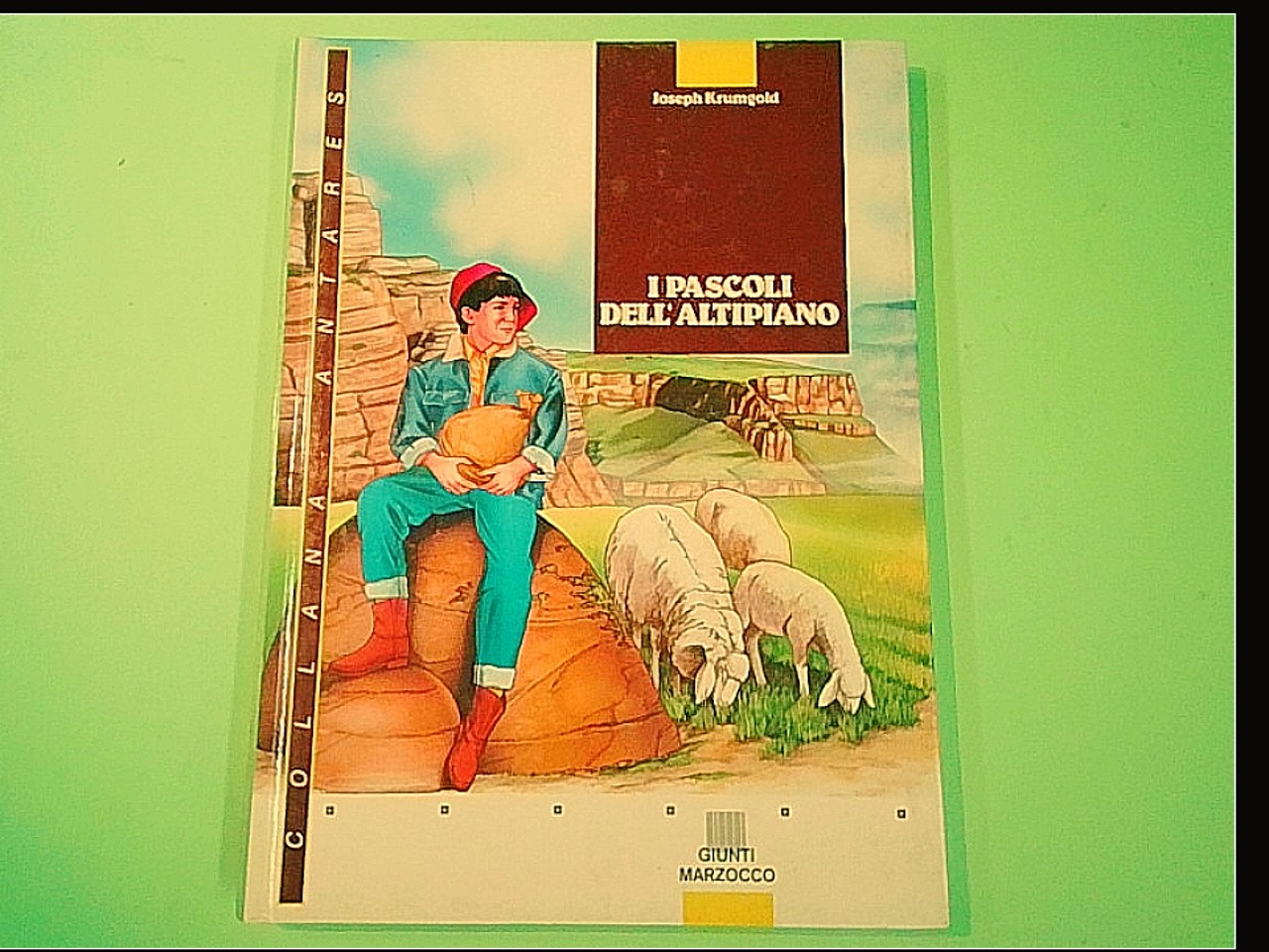 I PASCOLI DELL'ALTIPIANO