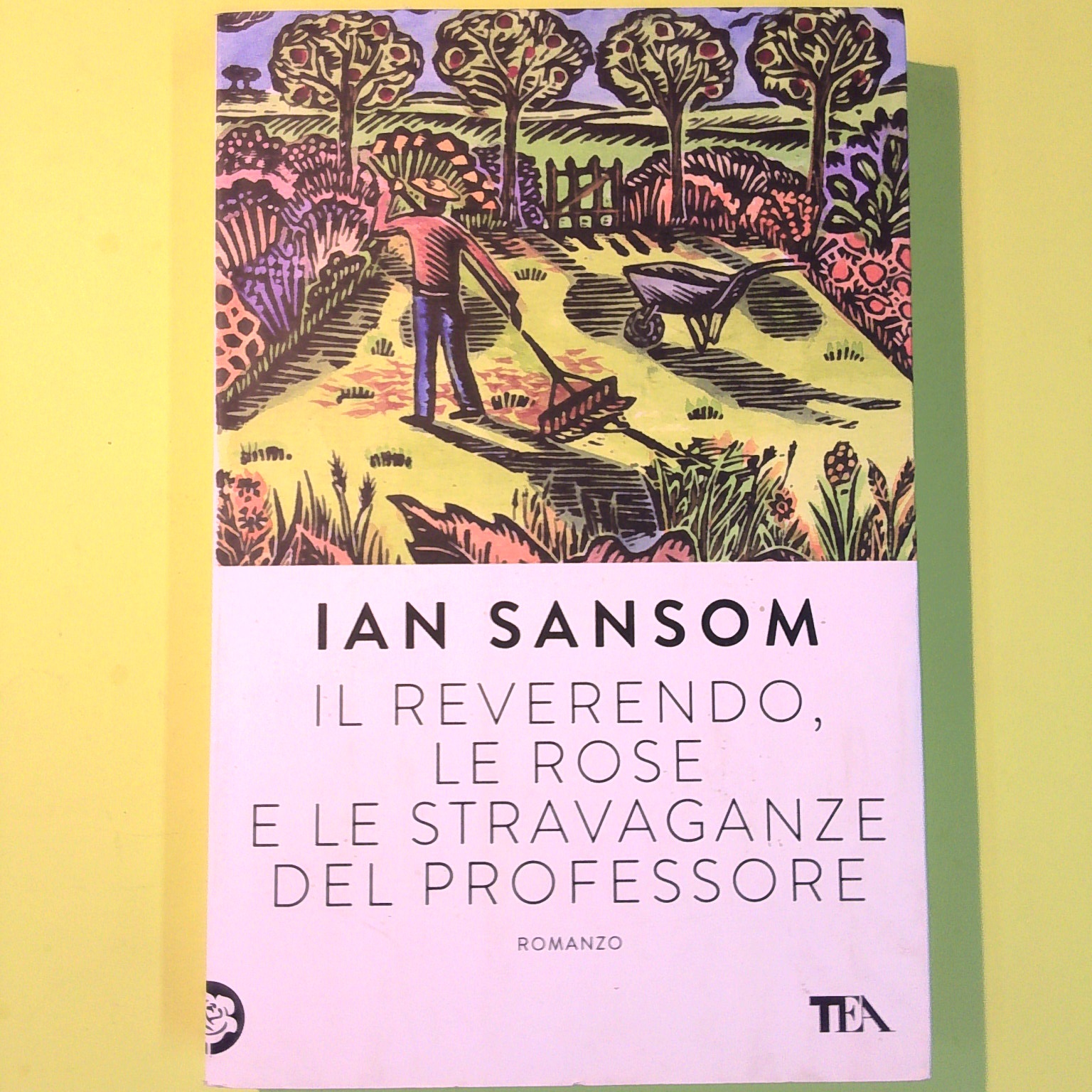 IL REVERENDO LE ROSE E LE STRAVAGANZE DEL PROFESSORE