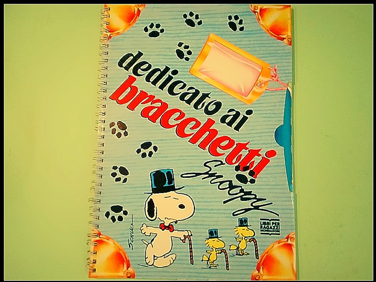DEDICATO AI BRACCHETTI SNOOPY