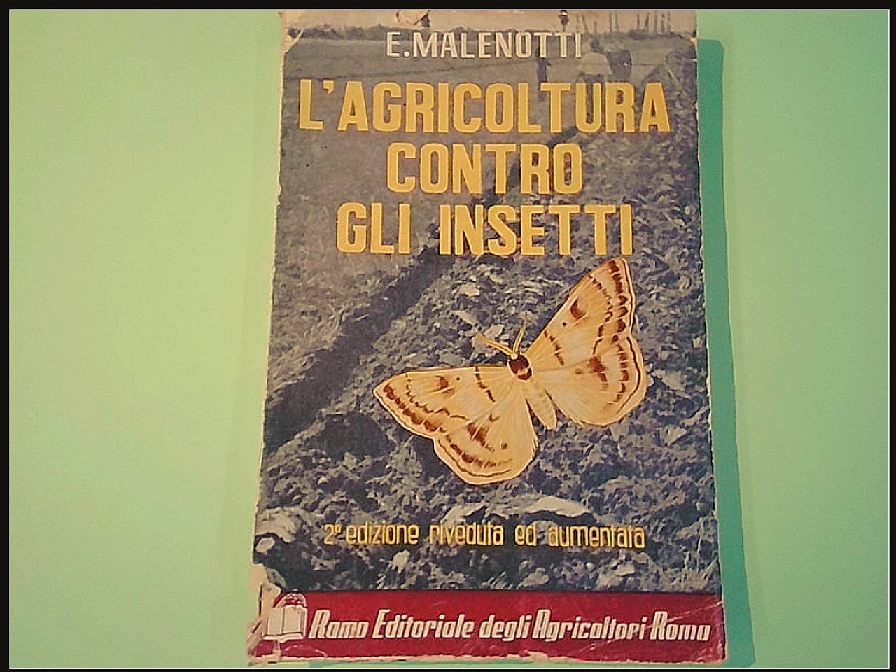 L'AGRICOLTURA CONTRO GLI INSETTI