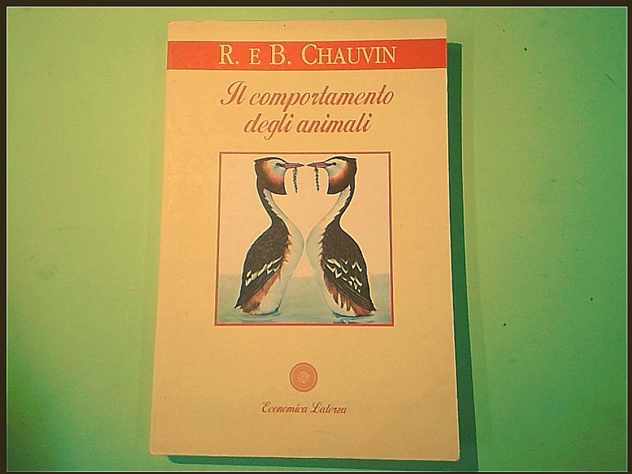 IL COMPORTAMENTO DEGLI ANIMALI