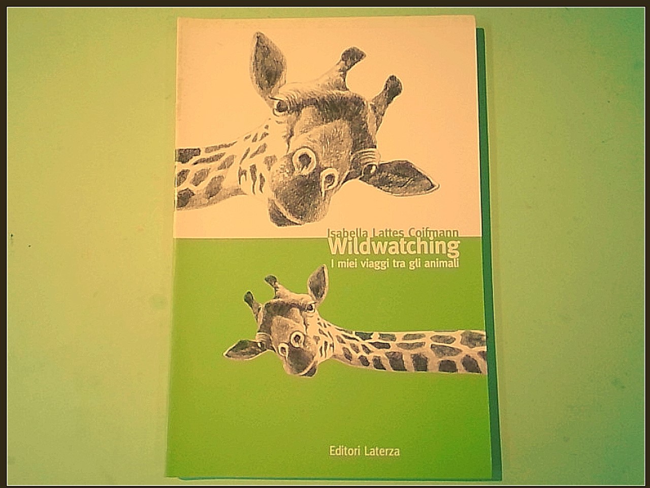 WILDWATCHING