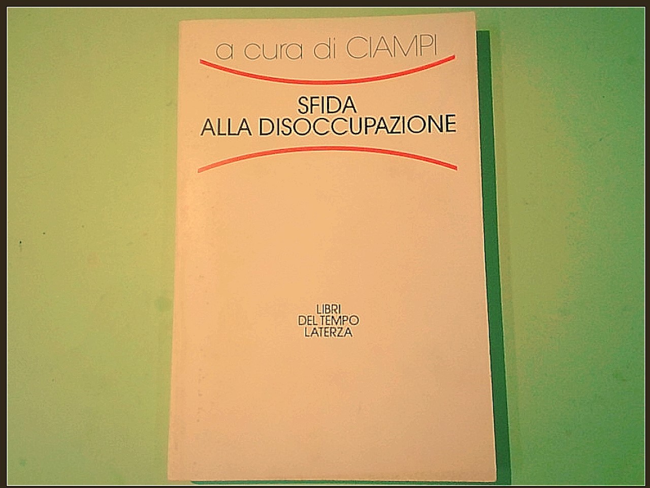 SFIDA ALLA DISOCCUPAZIONE