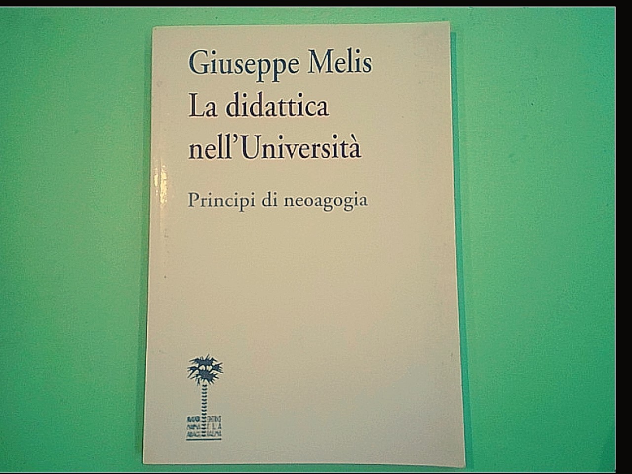 LA DIDATTICA NELL'UNIVERSITÀ PRINCIPI DI NEOAGOGIA