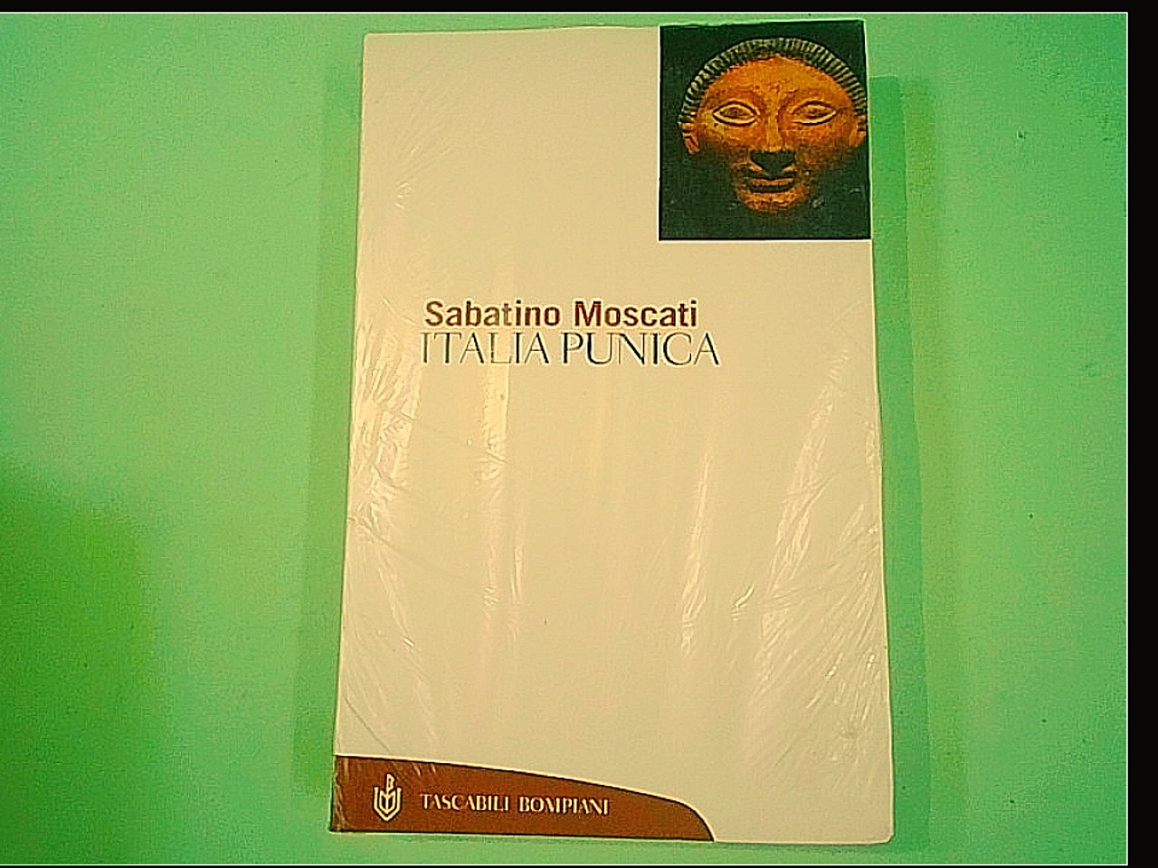 ITALIA PUNICA