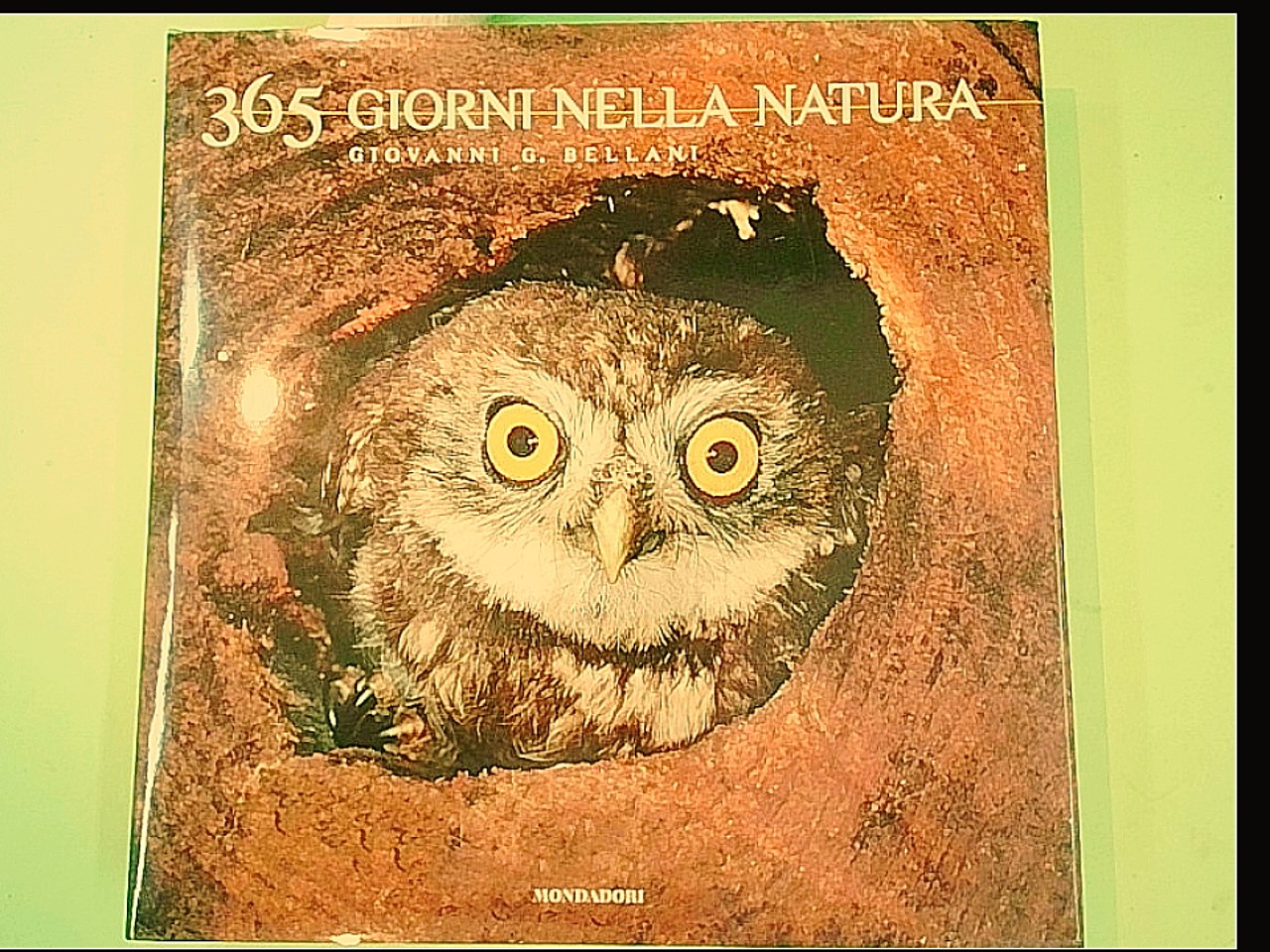 365 GIORNI NELLA NATURA