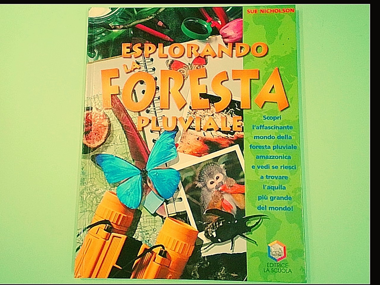 ESPLORANDO LA FORESTA PLUVIALE