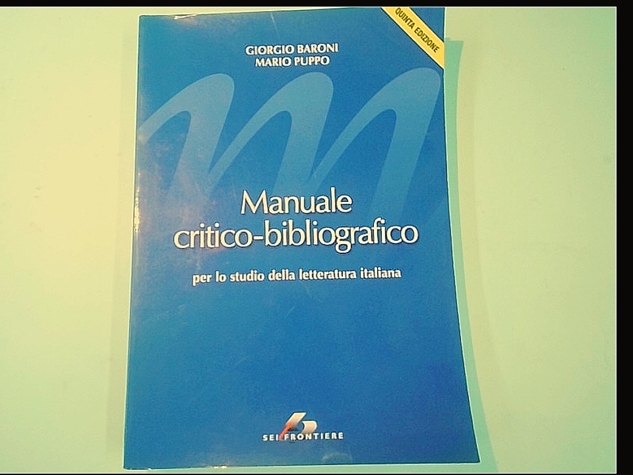 MANUALE CRITICO BIBLIOGRAFICO STUDIO LETTERATURA ITALIANA