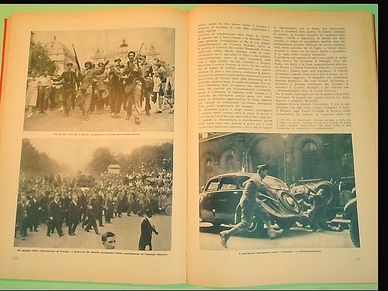 IL VOLTO DELLA GUERRA - LA FINE DEL REGNO - immagine 4