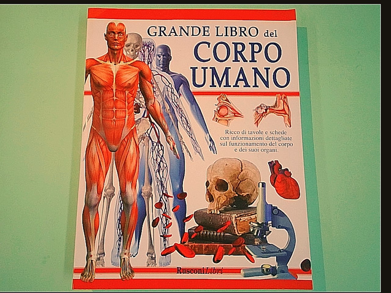 GRANDE LIBRO DEL CORPO UMANO