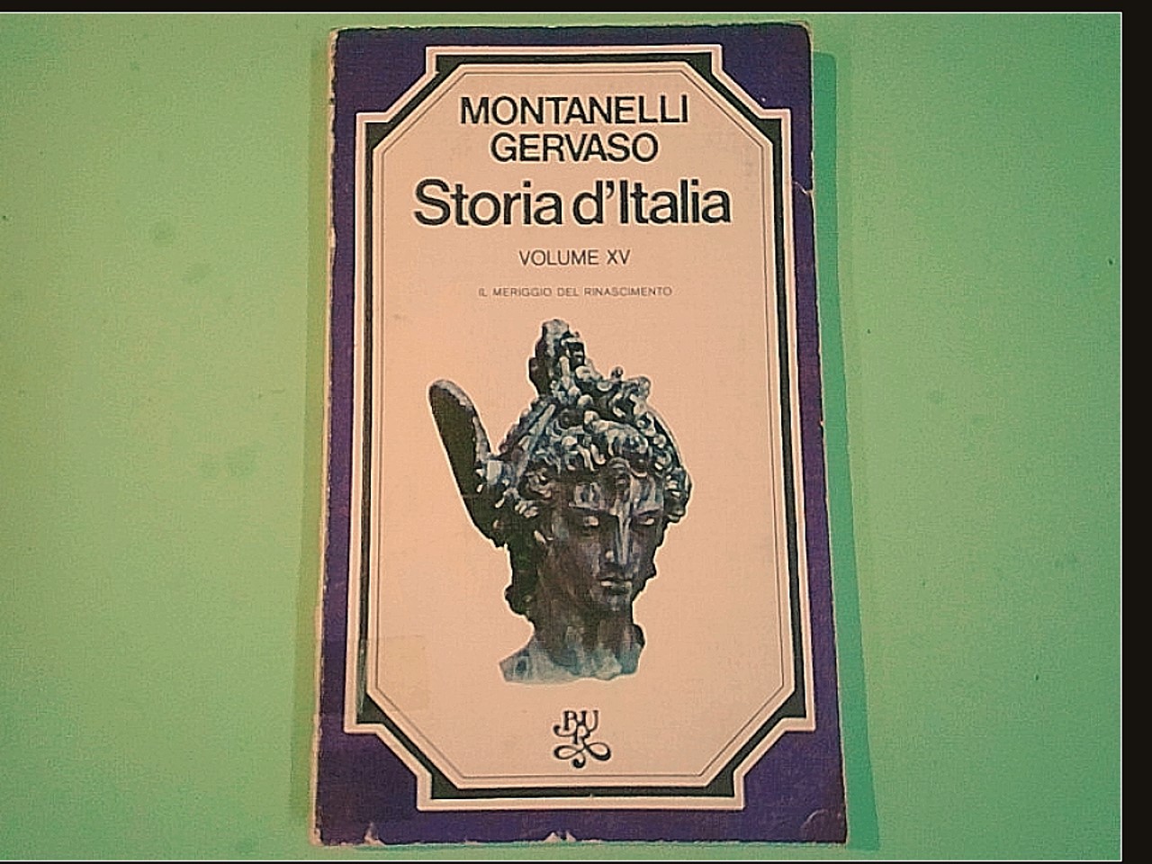 STORIA D'ITALIA VOL XV IL MERIGGIO DEL RINASCIMENTO