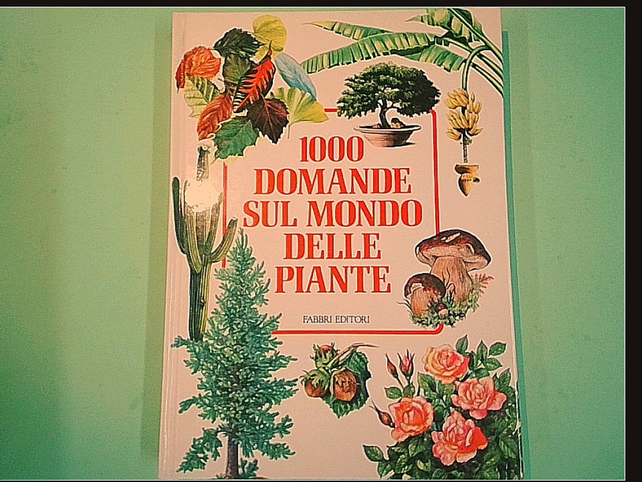 1000 DOMANDE SUL MONDO DELLE PIANTE