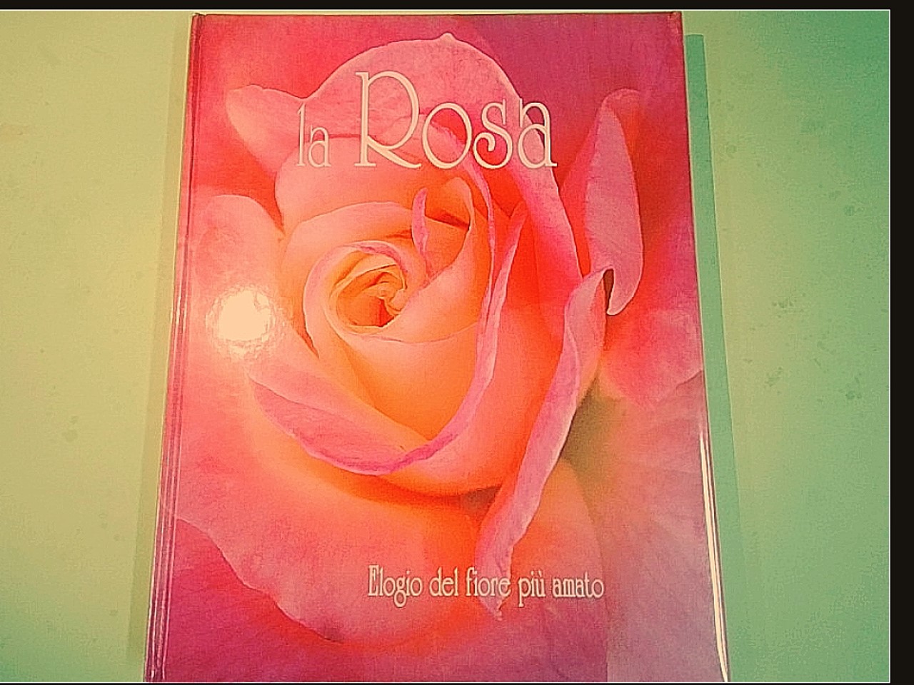 LA ROSA ELOGIO DEL FIORE PIÙ AMATO