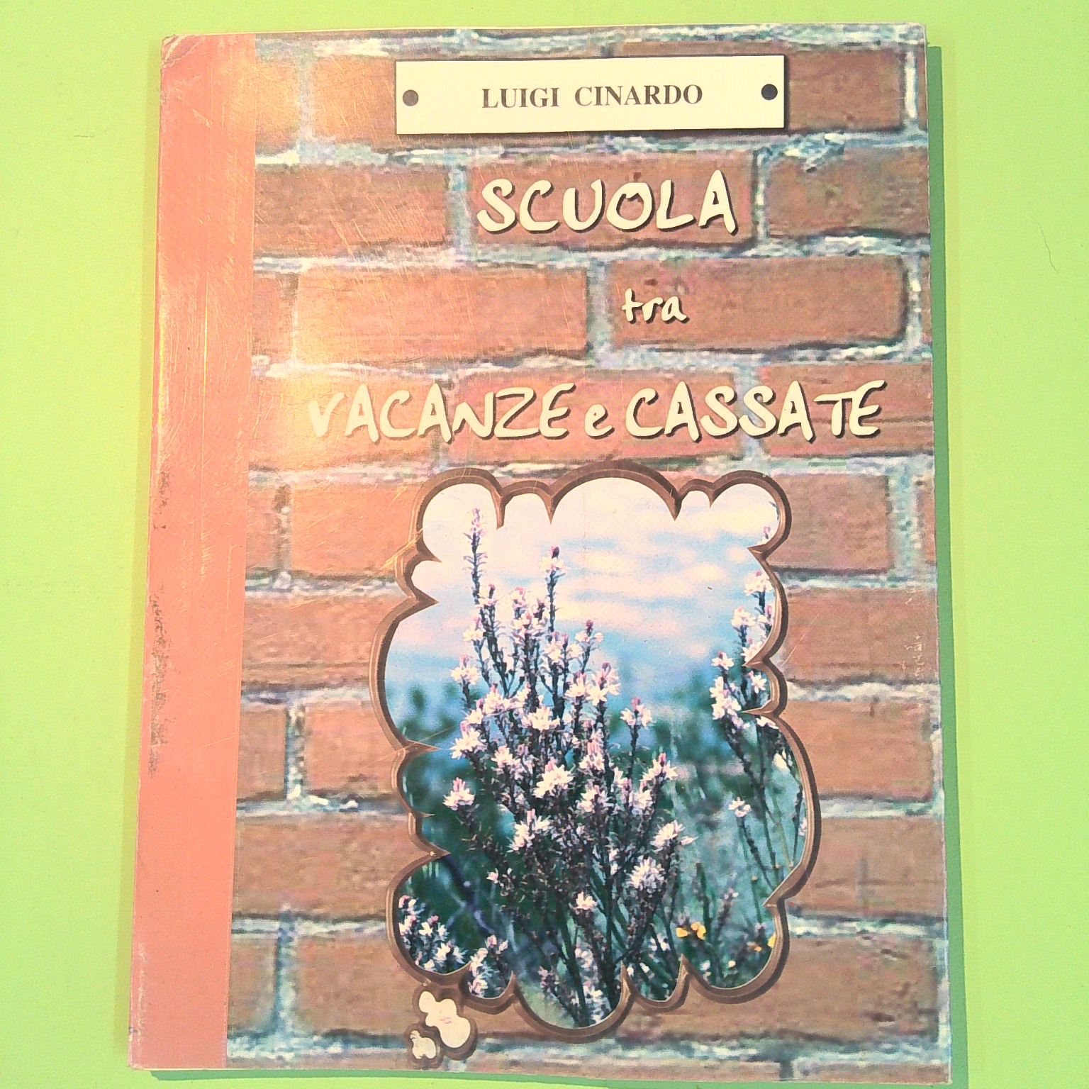 SCUOLA TRA VACANZE E CASSATE