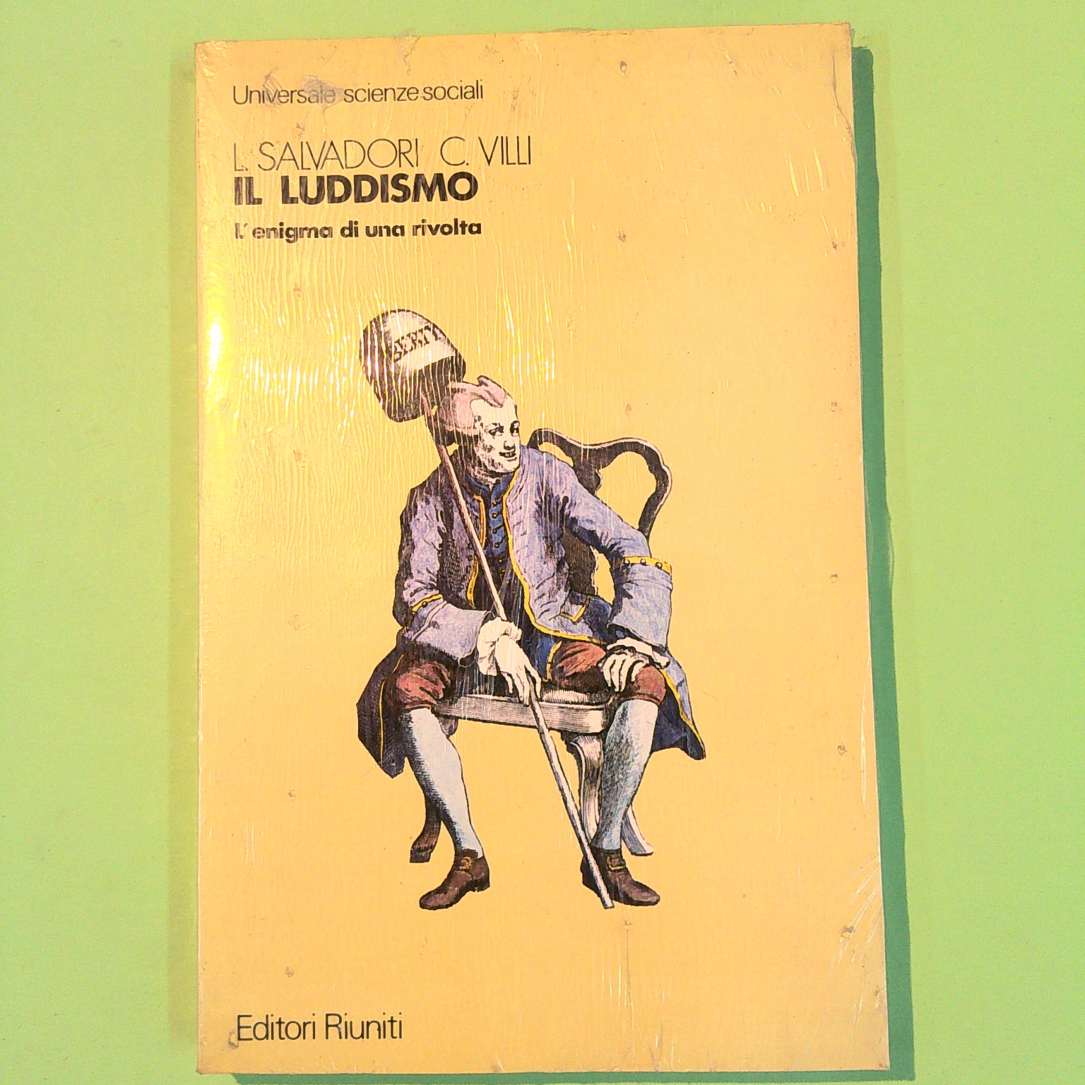 IL LUDDISMO