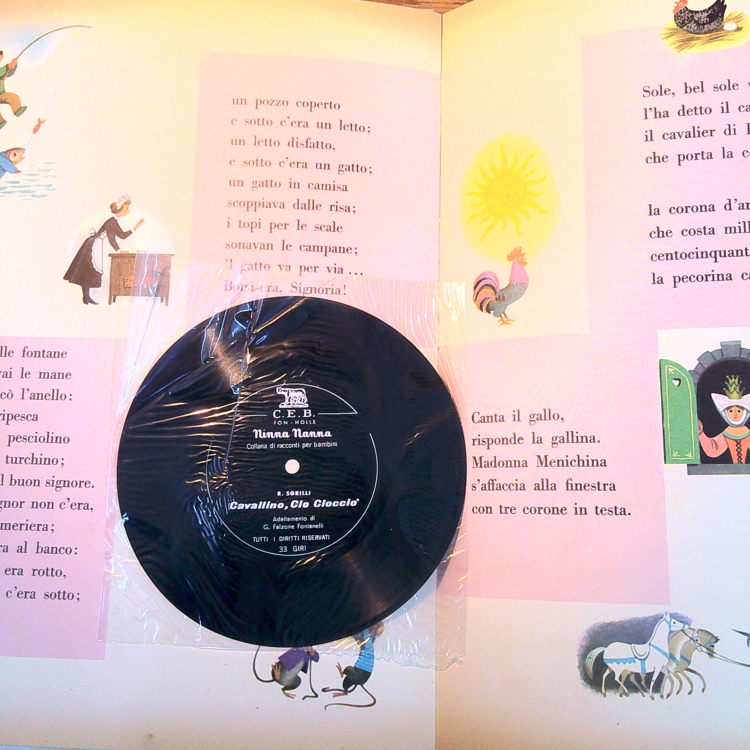 CAVALLINO CIO CIOCCIO - immagine 3