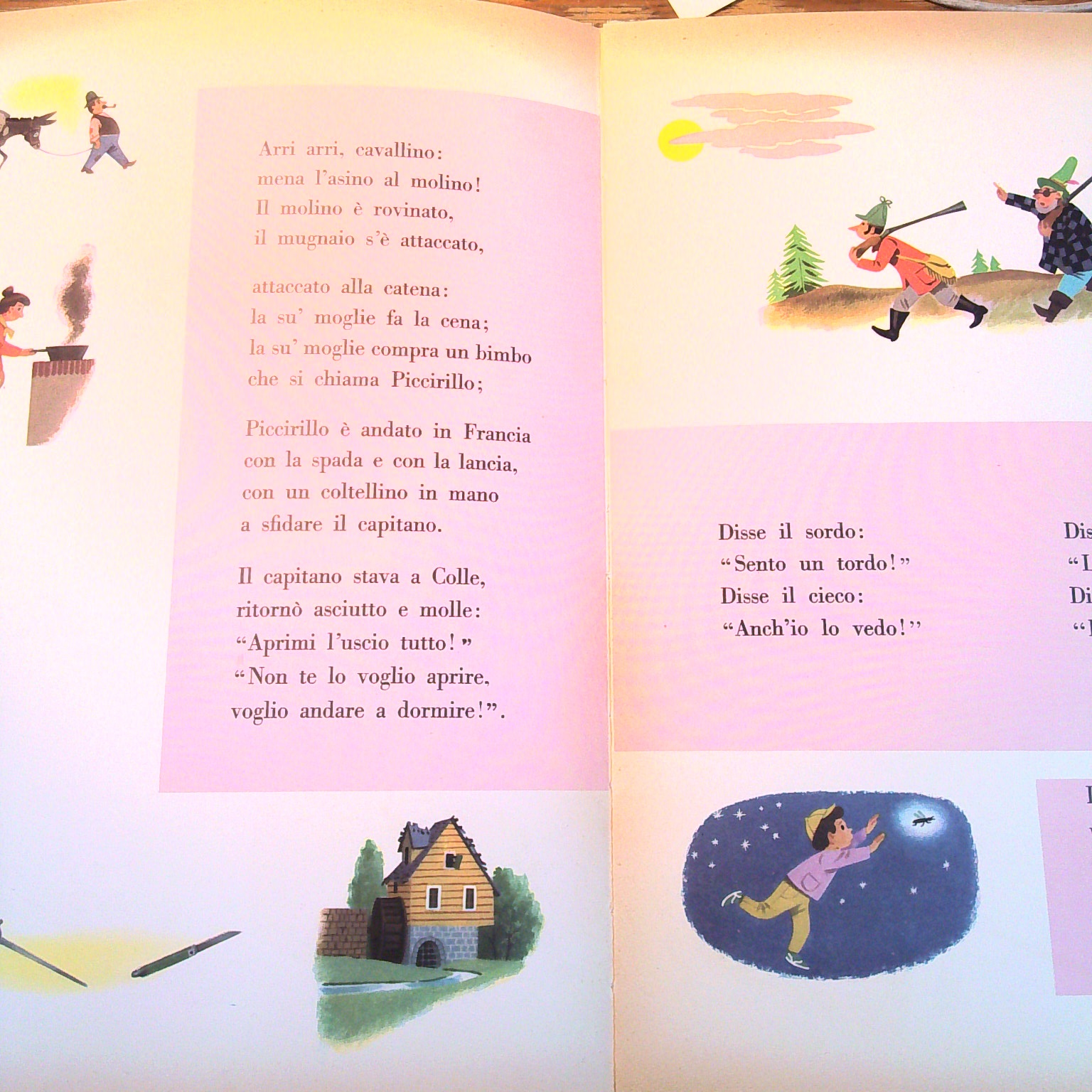 CAVALLINO CIO CIOCCIO - immagine 2