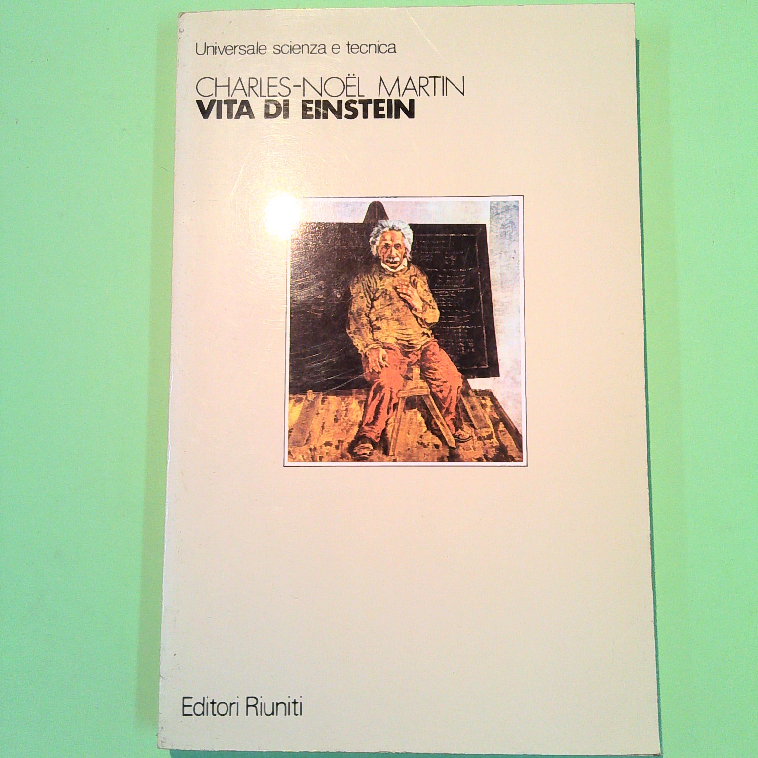 VITA DI ENSTEIN