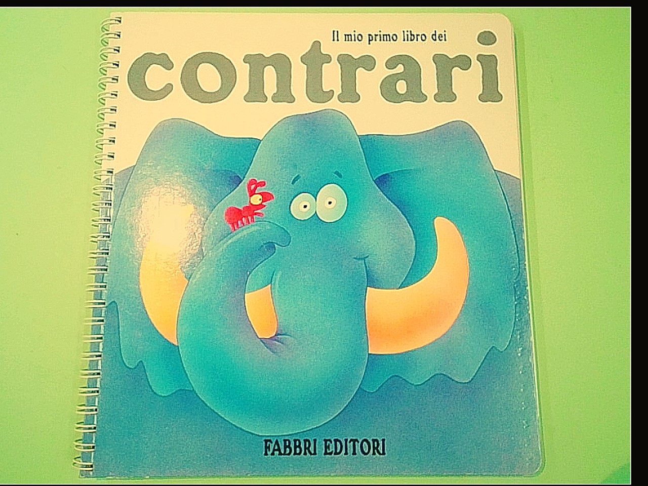 IL MIO PRIMO LIBRO DEI CONTRARI