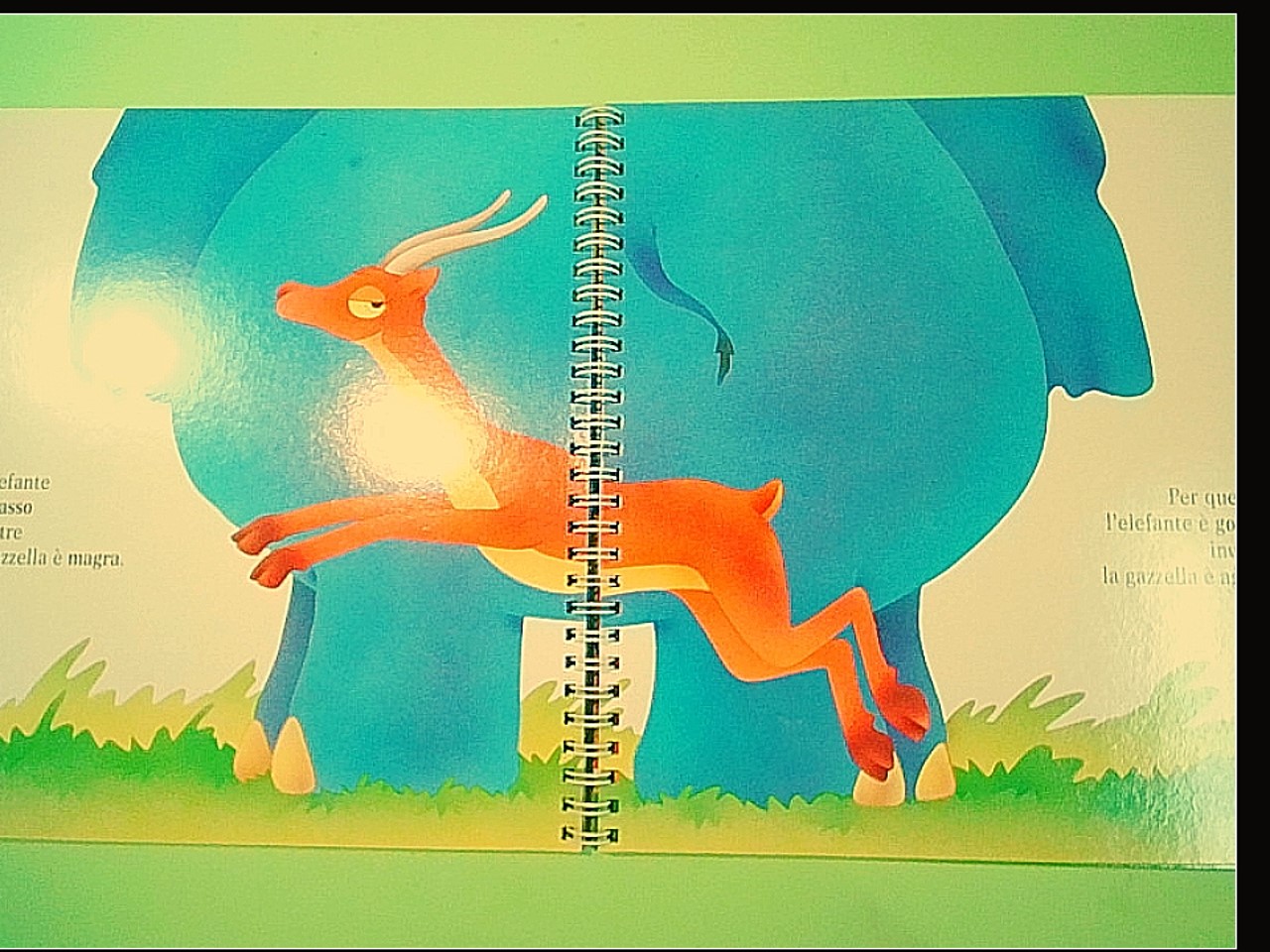 IL MIO PRIMO LIBRO DEI CONTRARI - immagine 3