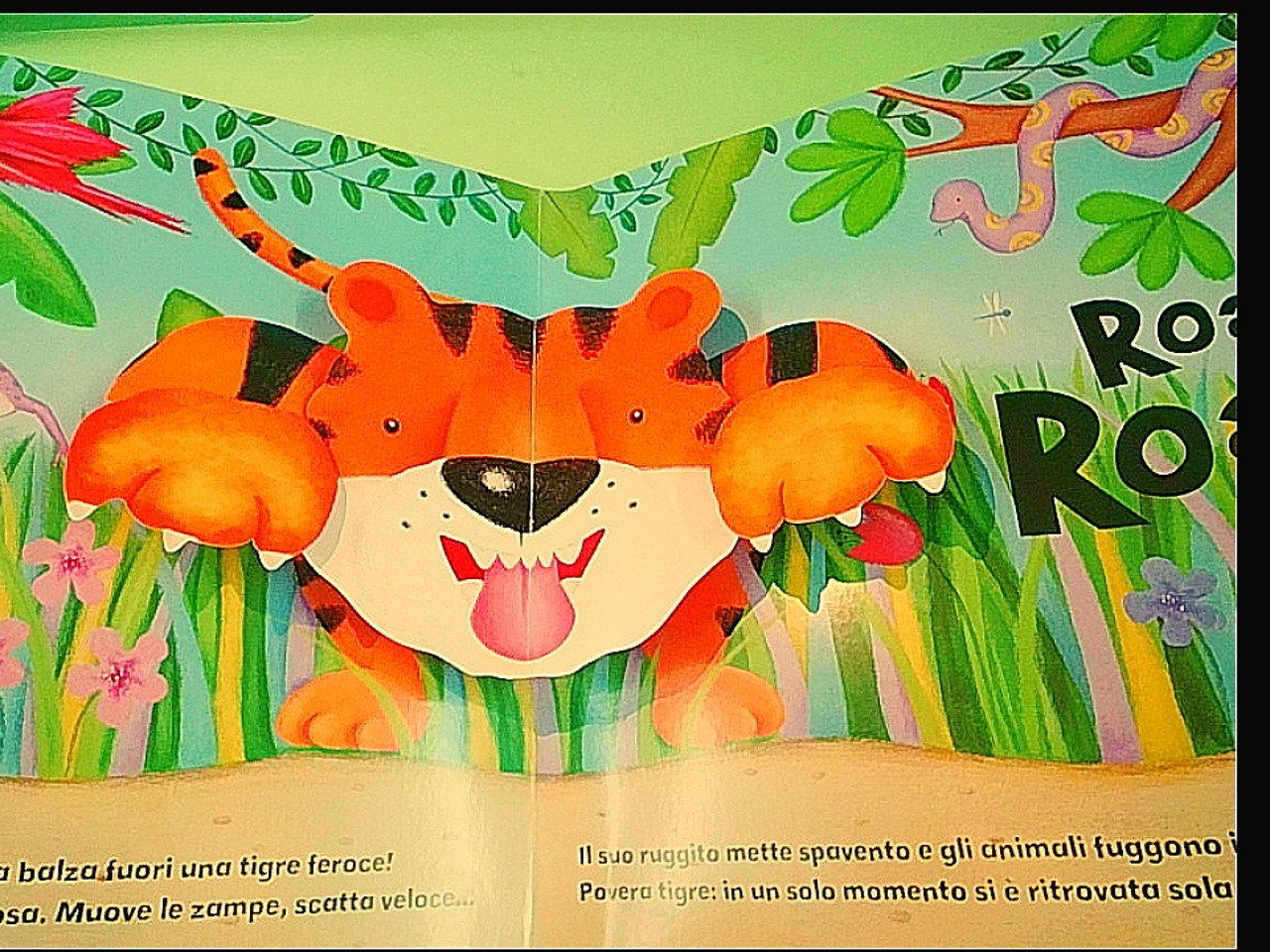 LA GIUNGLA ROAR ROAR 5 GRANDI POP UP - immagine 4