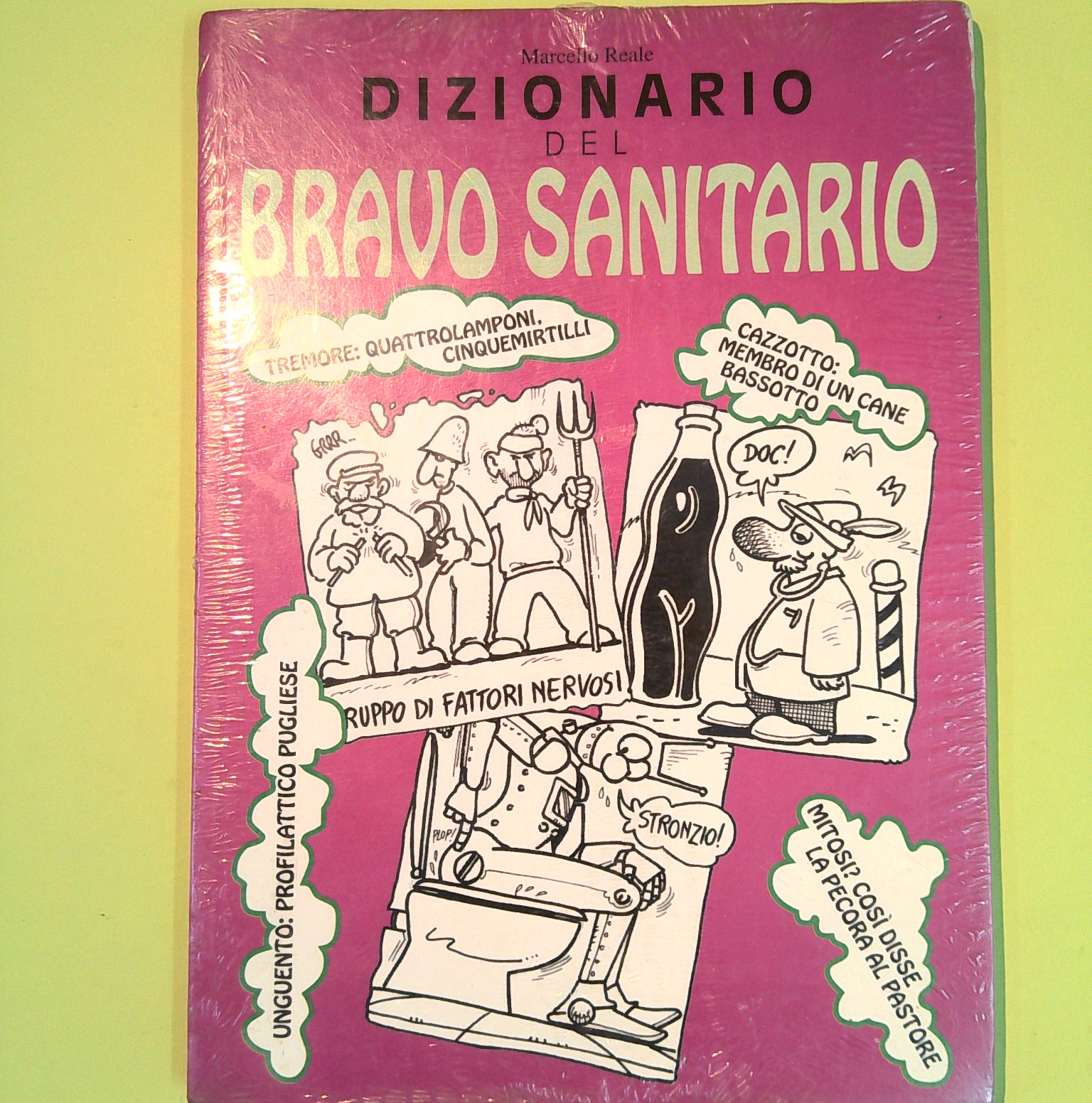 DIZIONARIO DEL BRAVO SANITARIO