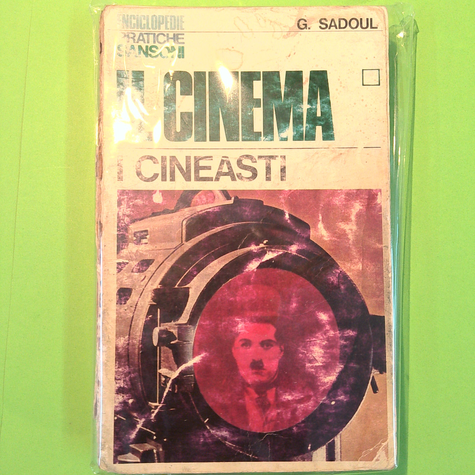 IL CINEMA I CINEASTI