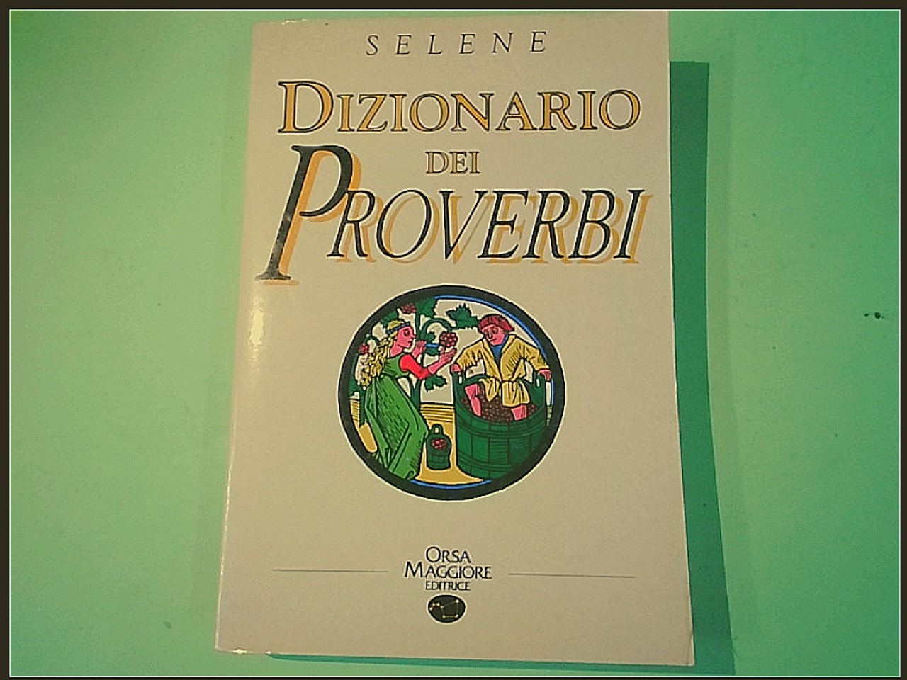 DIZIONARIO DEI PROVERBI