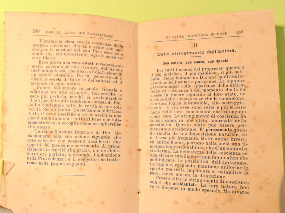 PRATICA PROGRESSIVA DELLA CONFESSIONE E DELLA DIREZIONE SPIRITUALE VOL II - immagine 2