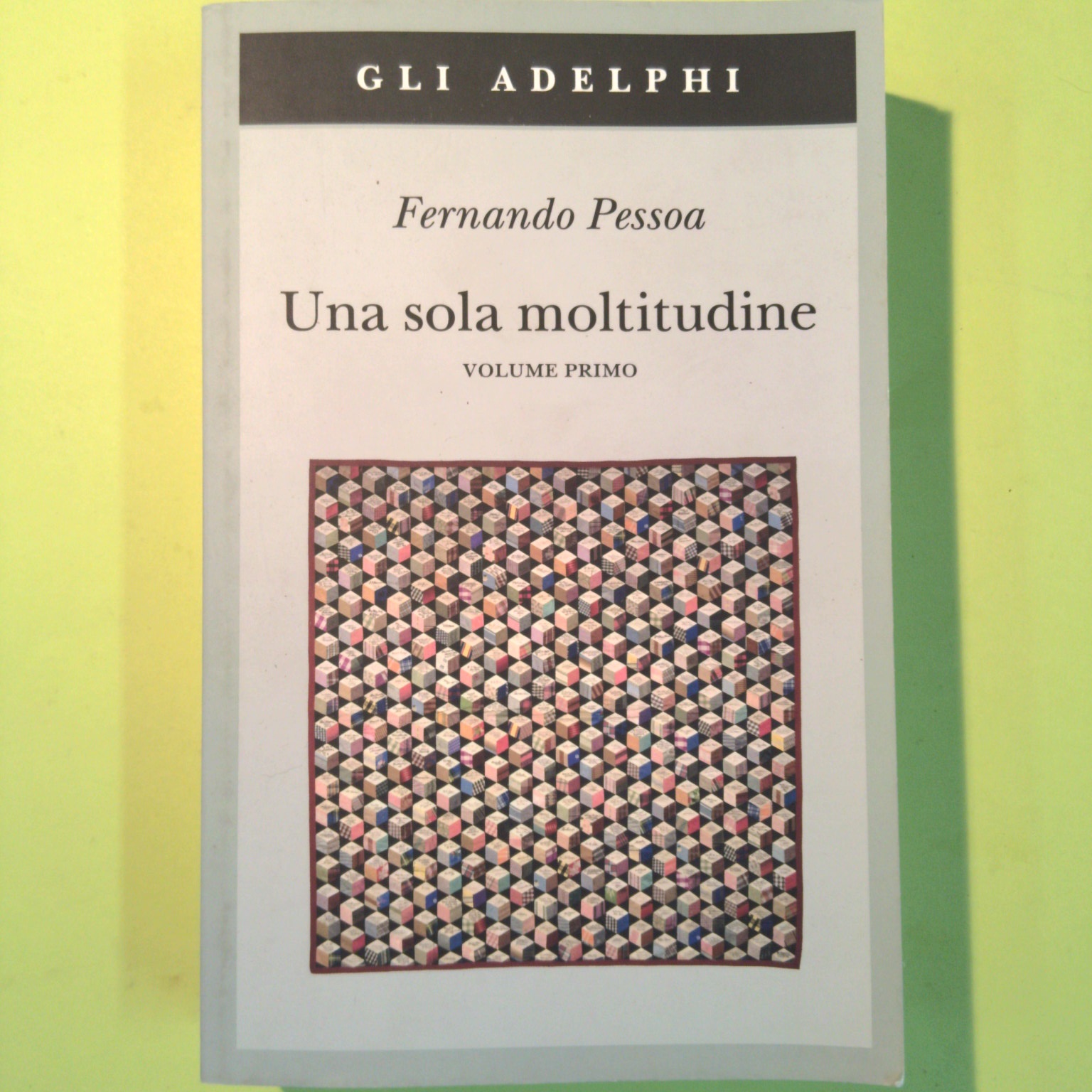 UNA SOLA MOLTITUDINE VOL I