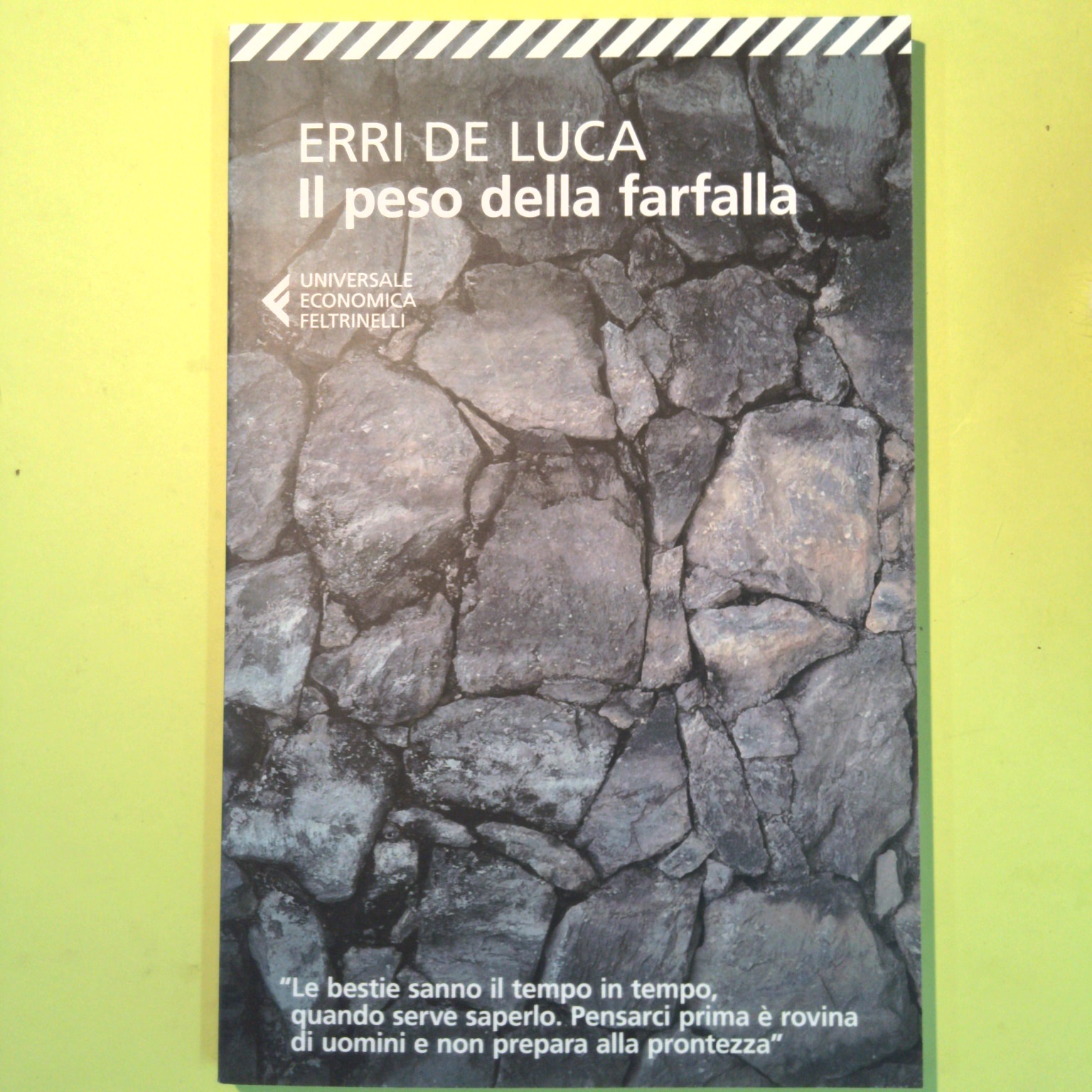 IL PESO DELLA FARFALLA